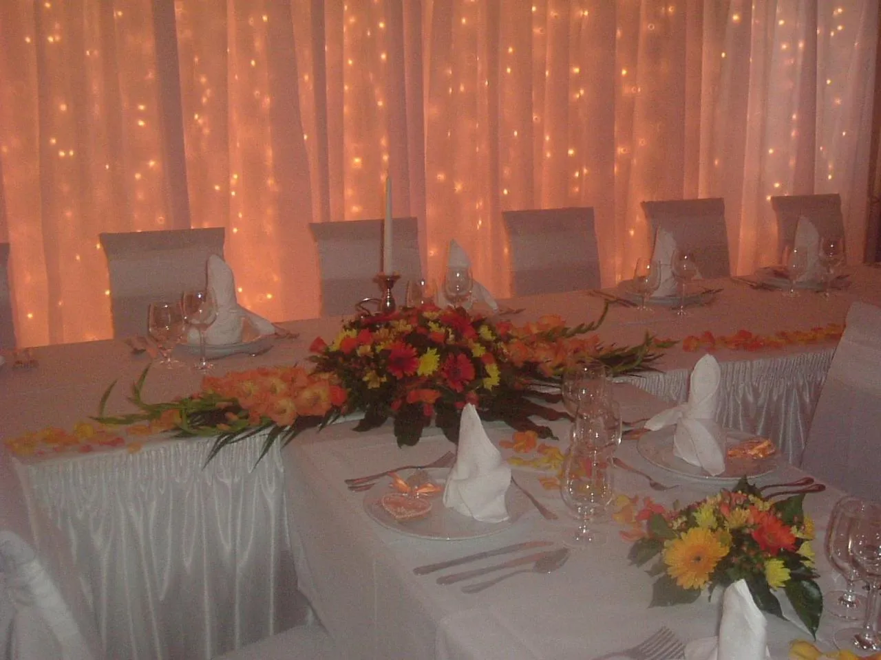 Banquet/Function facilities in Hotel Blaha Lujza