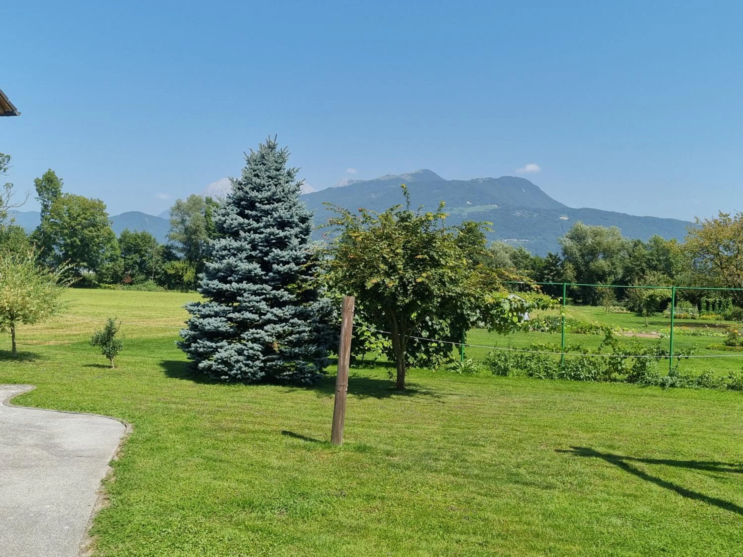 Rooms & Apartments Jana