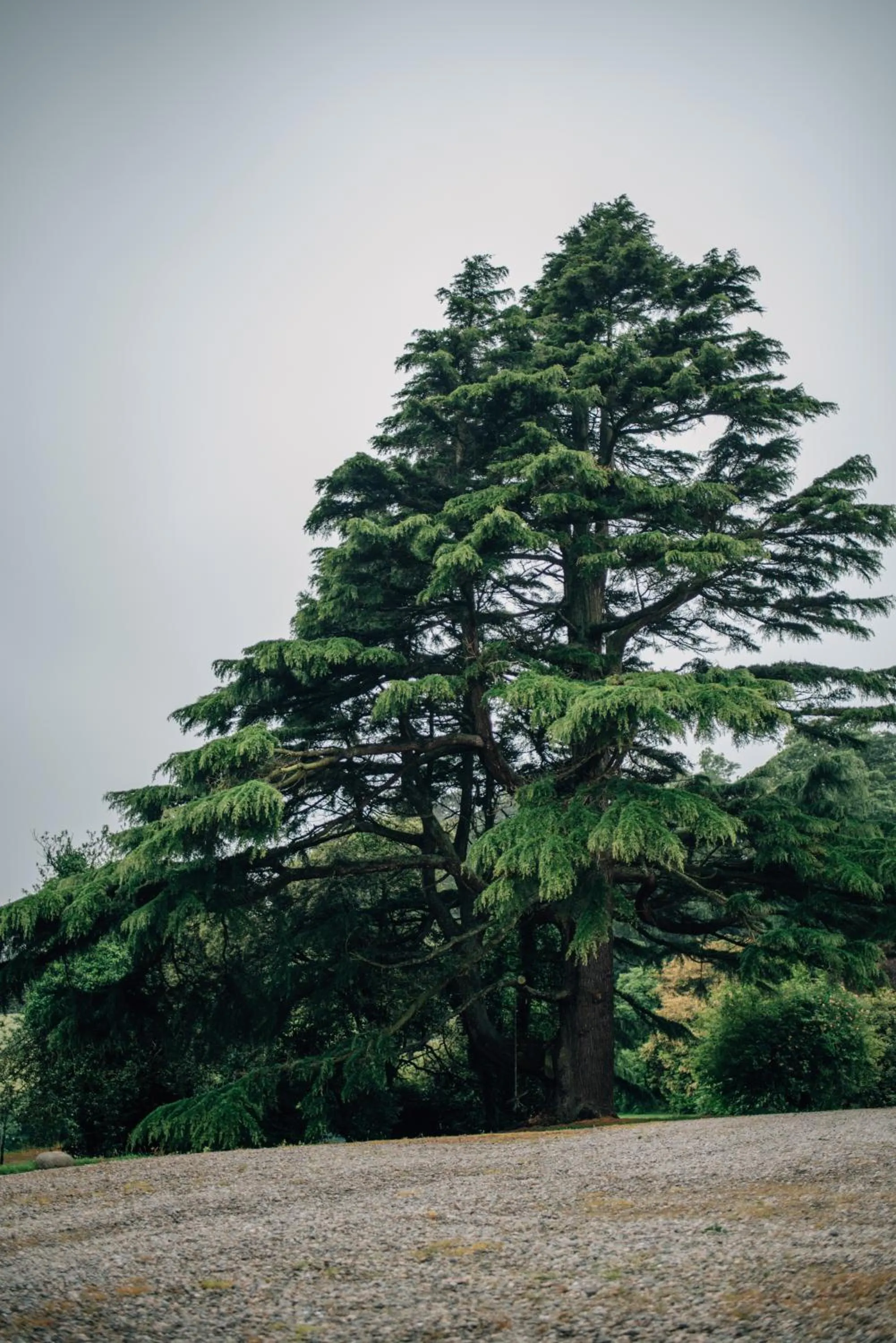 Garden view in Ballydugan Country House
