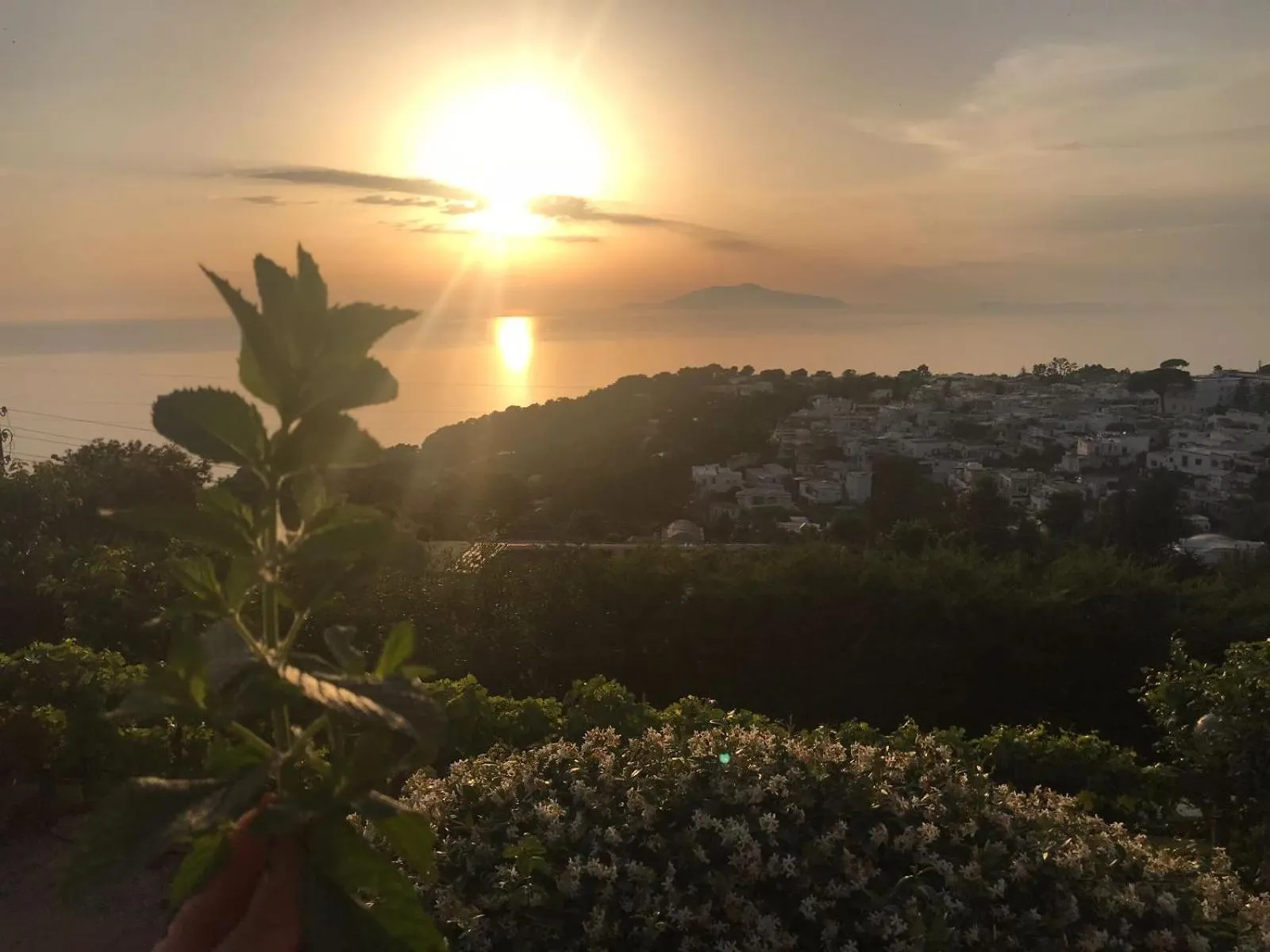 Balcony/Terrace in Agriturismo del Sole