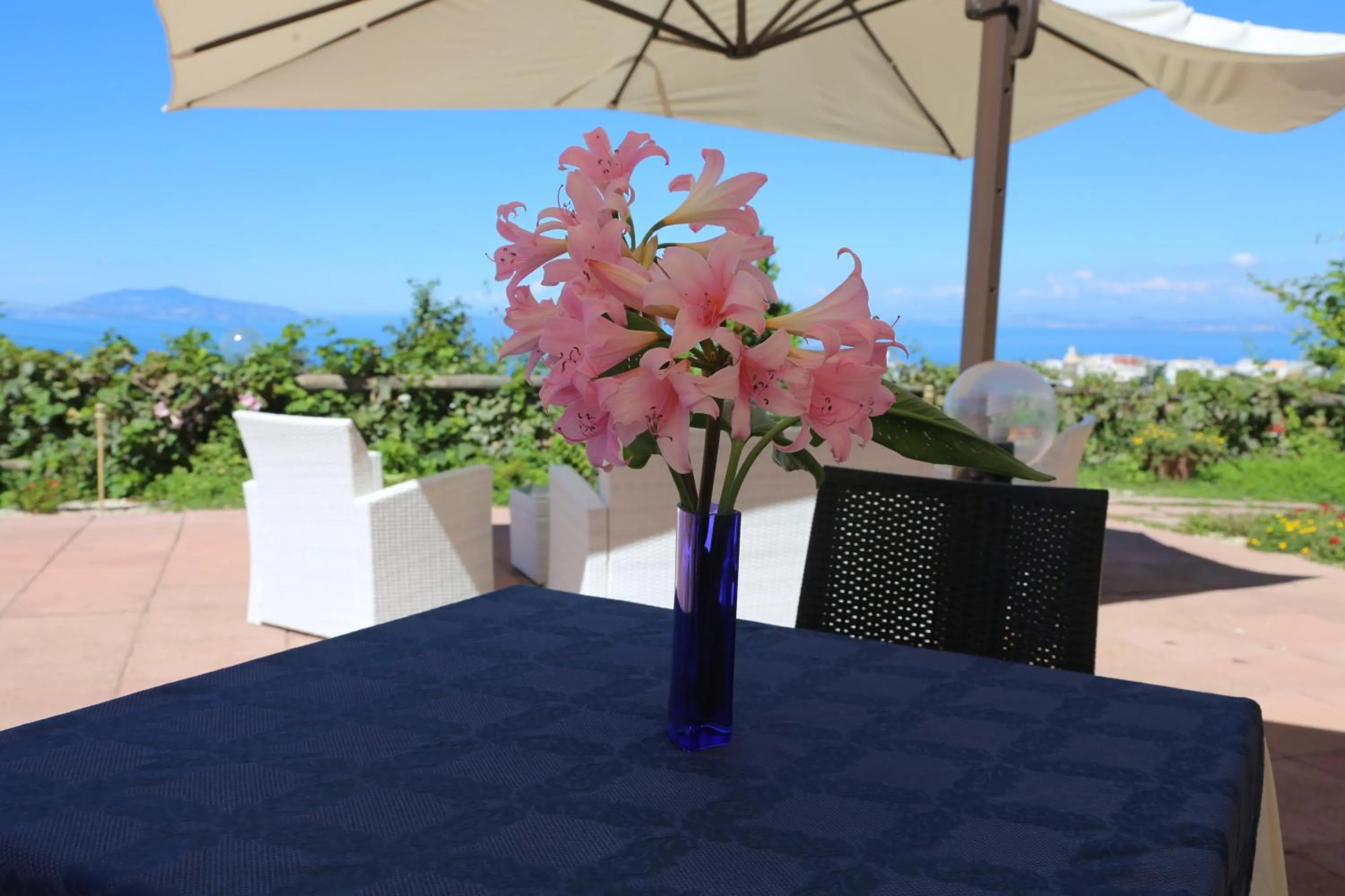 Garden in Agriturismo del Sole