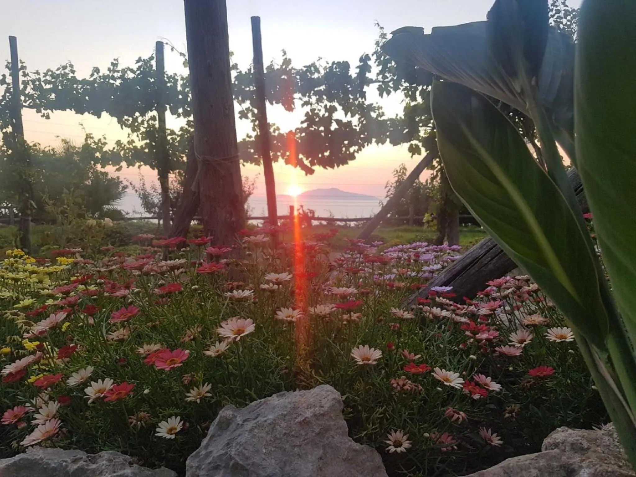 Spring in Agriturismo del Sole