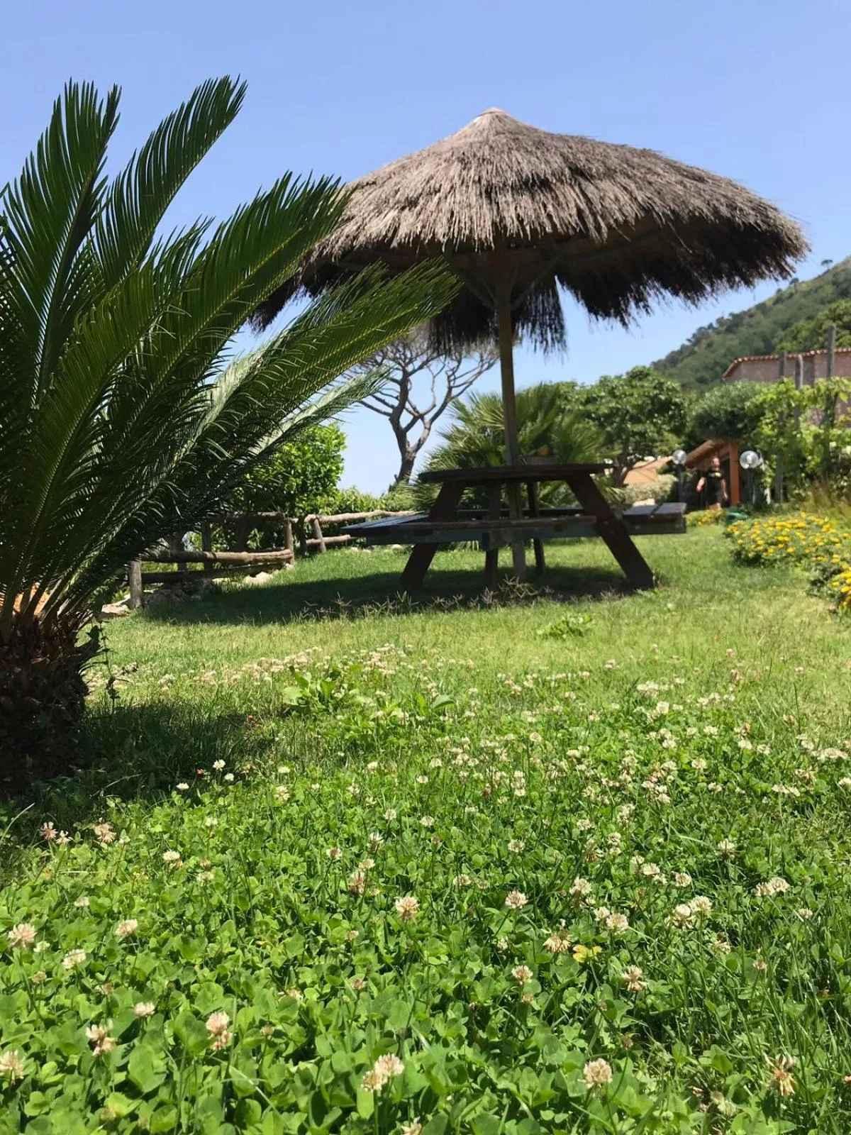 Garden in Agriturismo del Sole