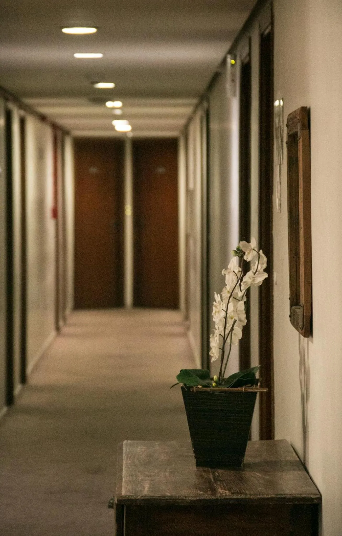 Lobby or reception in Hotel Ferraz