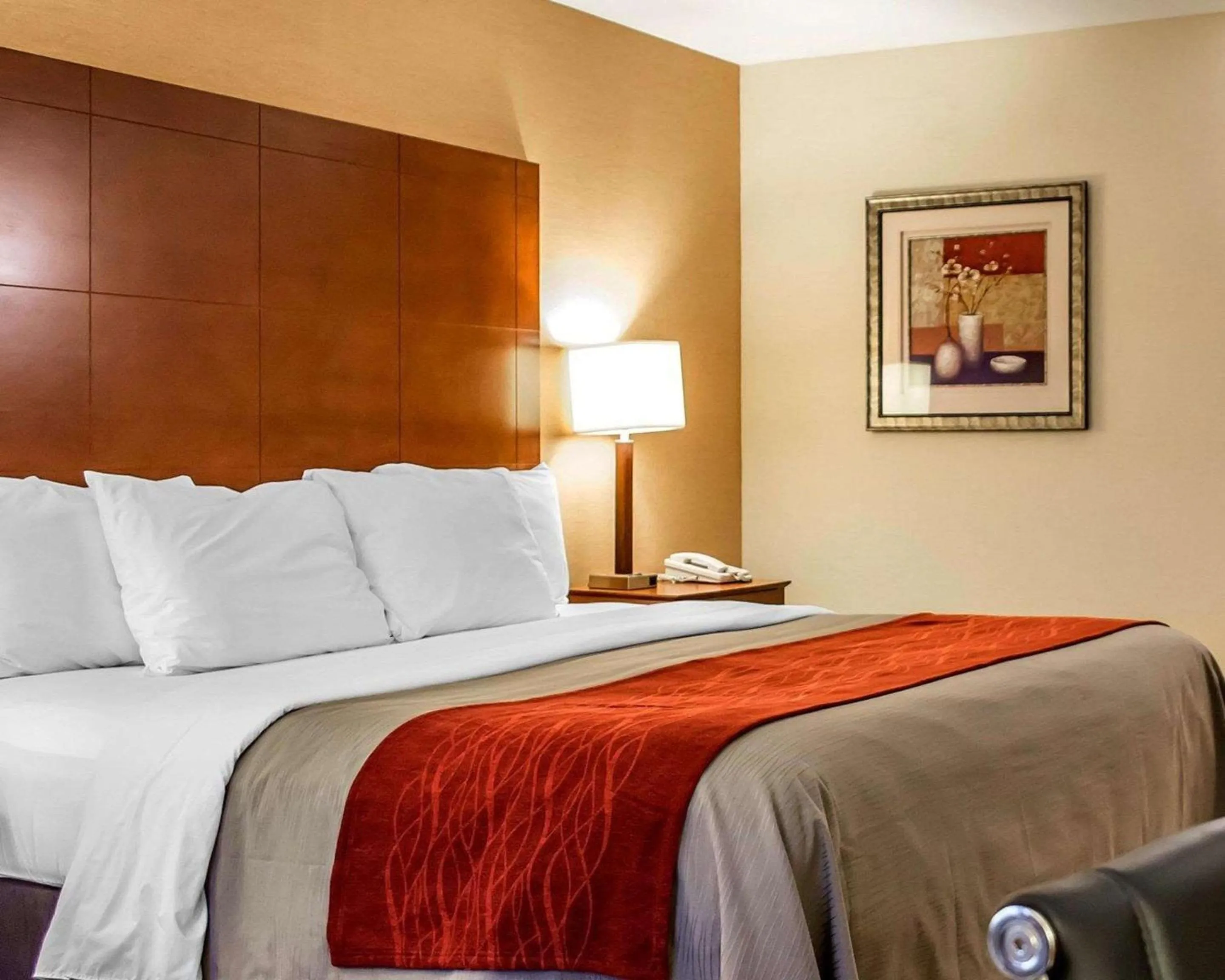 Bedroom, Bed in Comfort Inn & Suites Franklin East