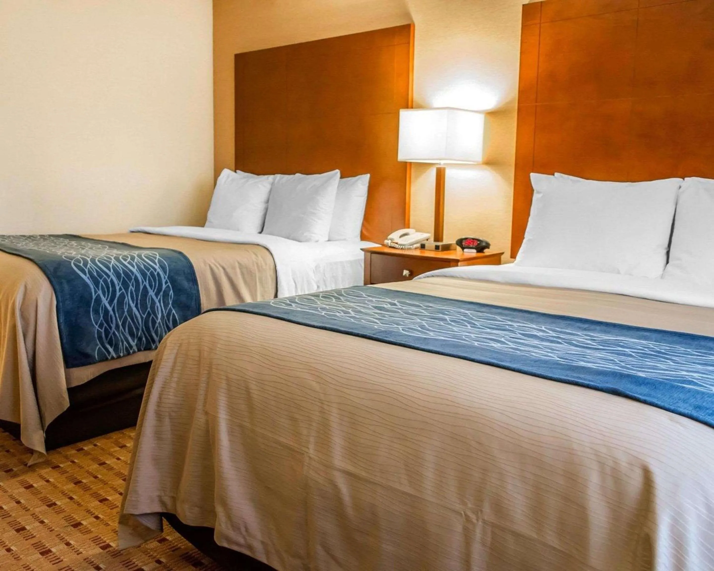 Bedroom, Bed in Comfort Inn & Suites Franklin East