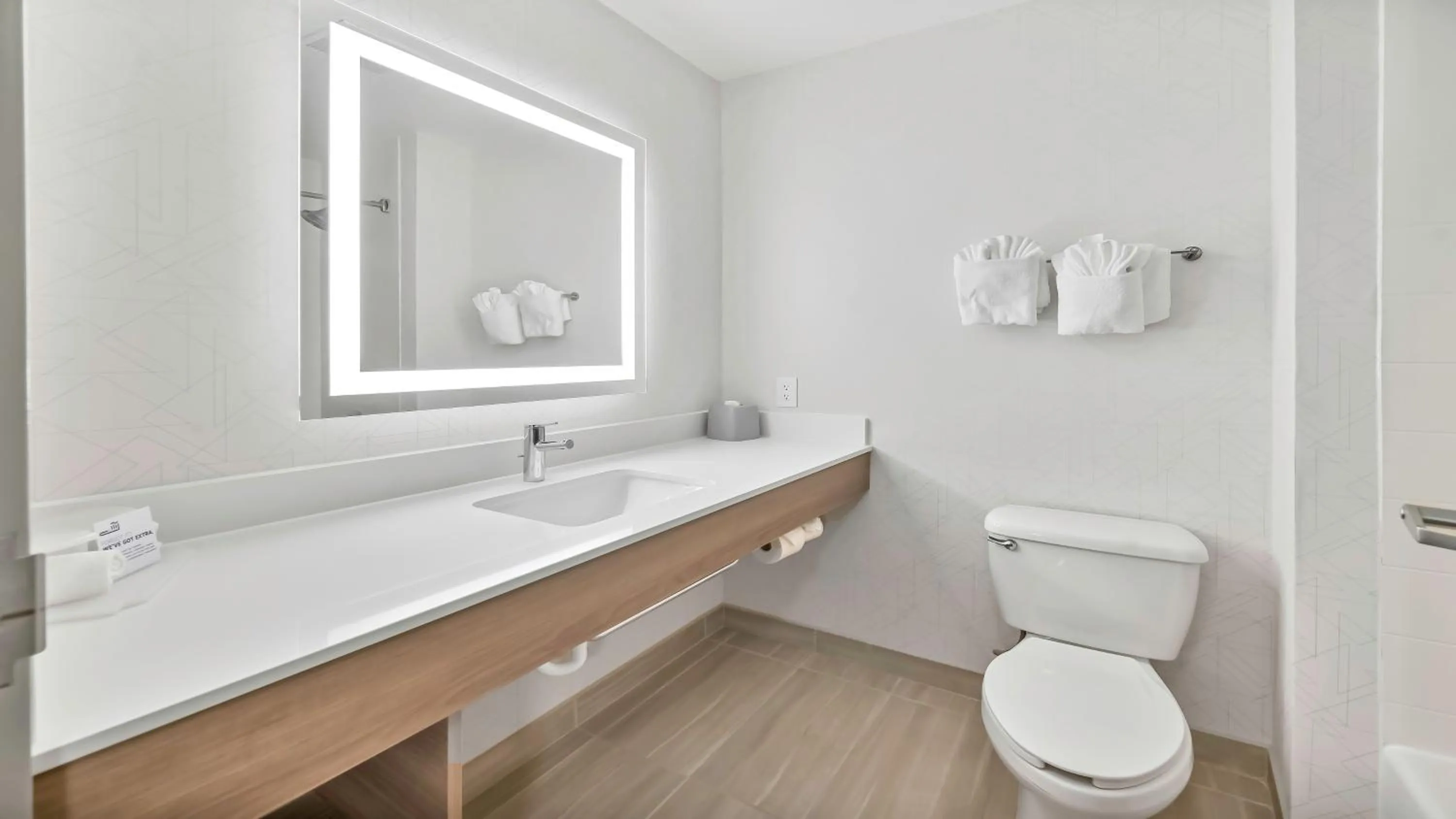 Bathroom in Holiday Inn Express Palestine by IHG