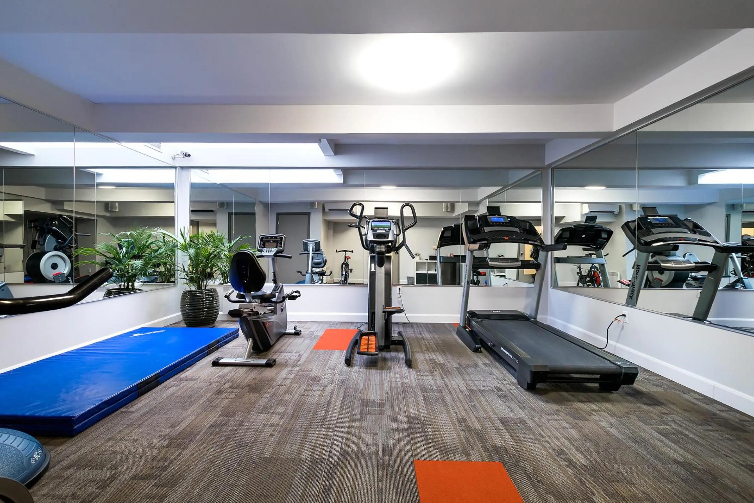 Fitness centre/facilities in Terrasse Royale Hotel