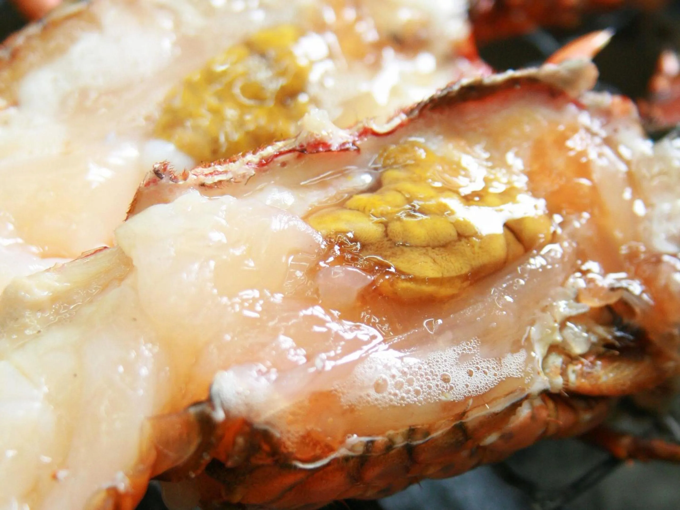 Food close-up in Hamachiyokan