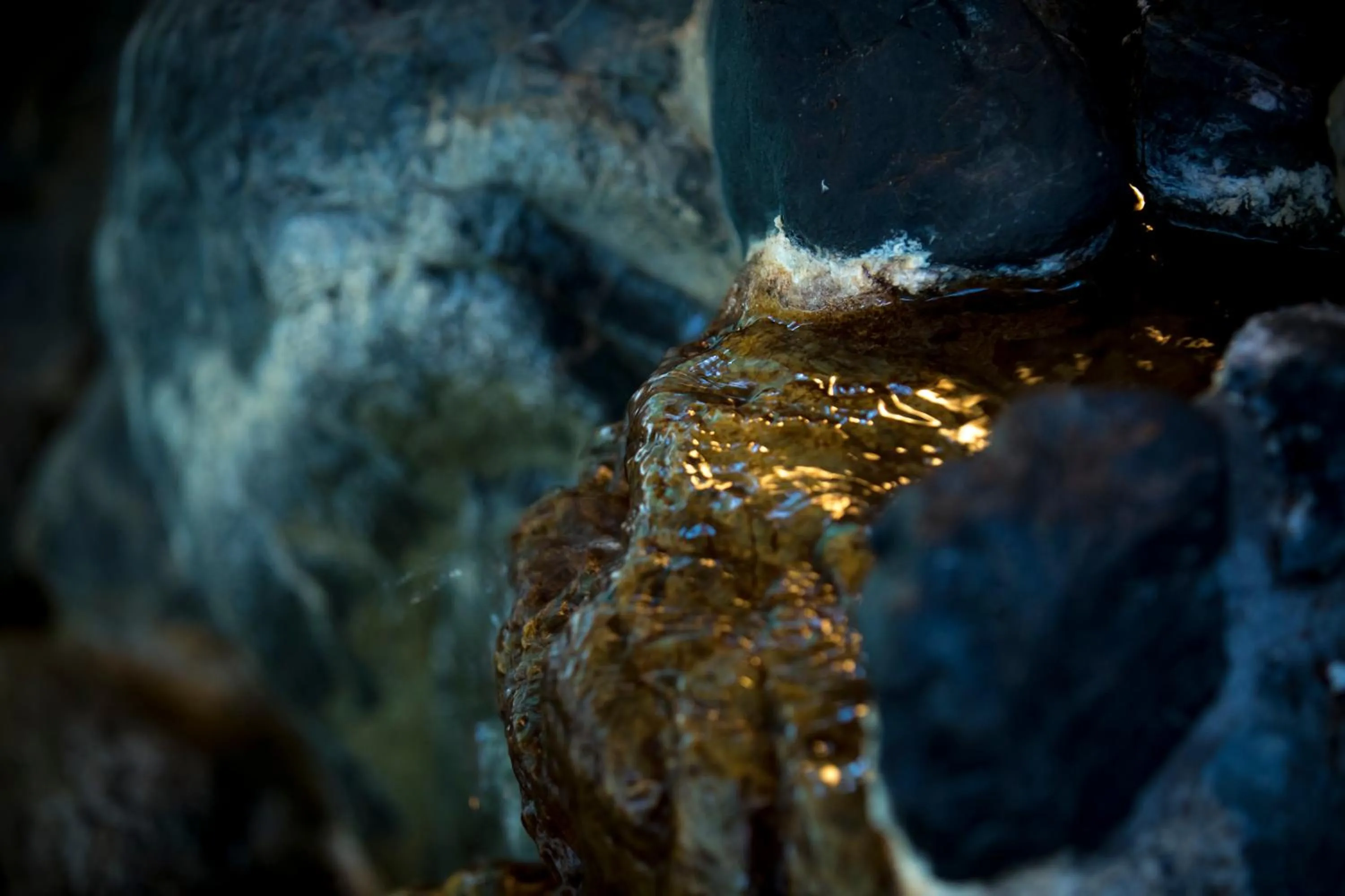 Public Bath in Hotel Kitanoya