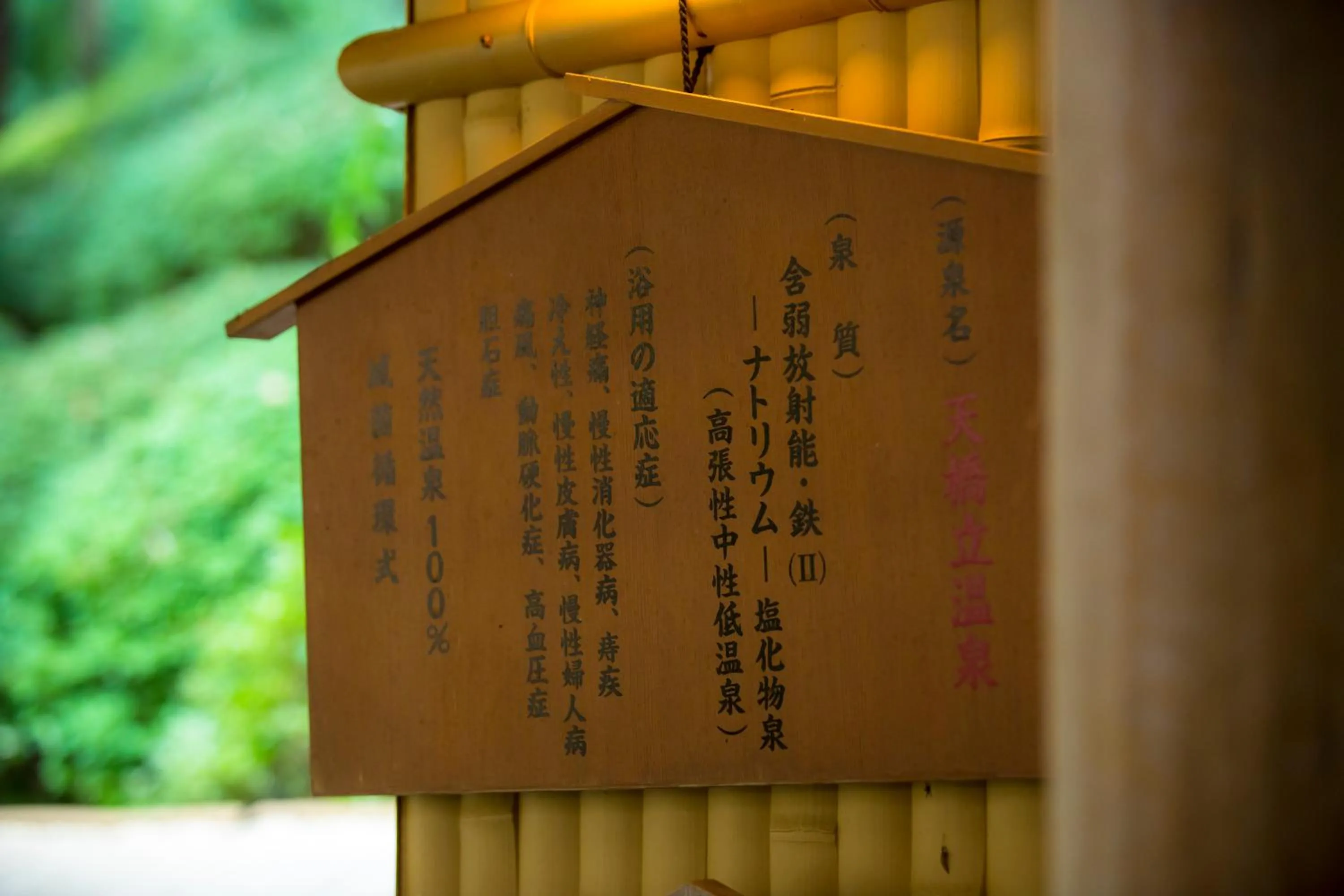 Public Bath in Hotel Kitanoya