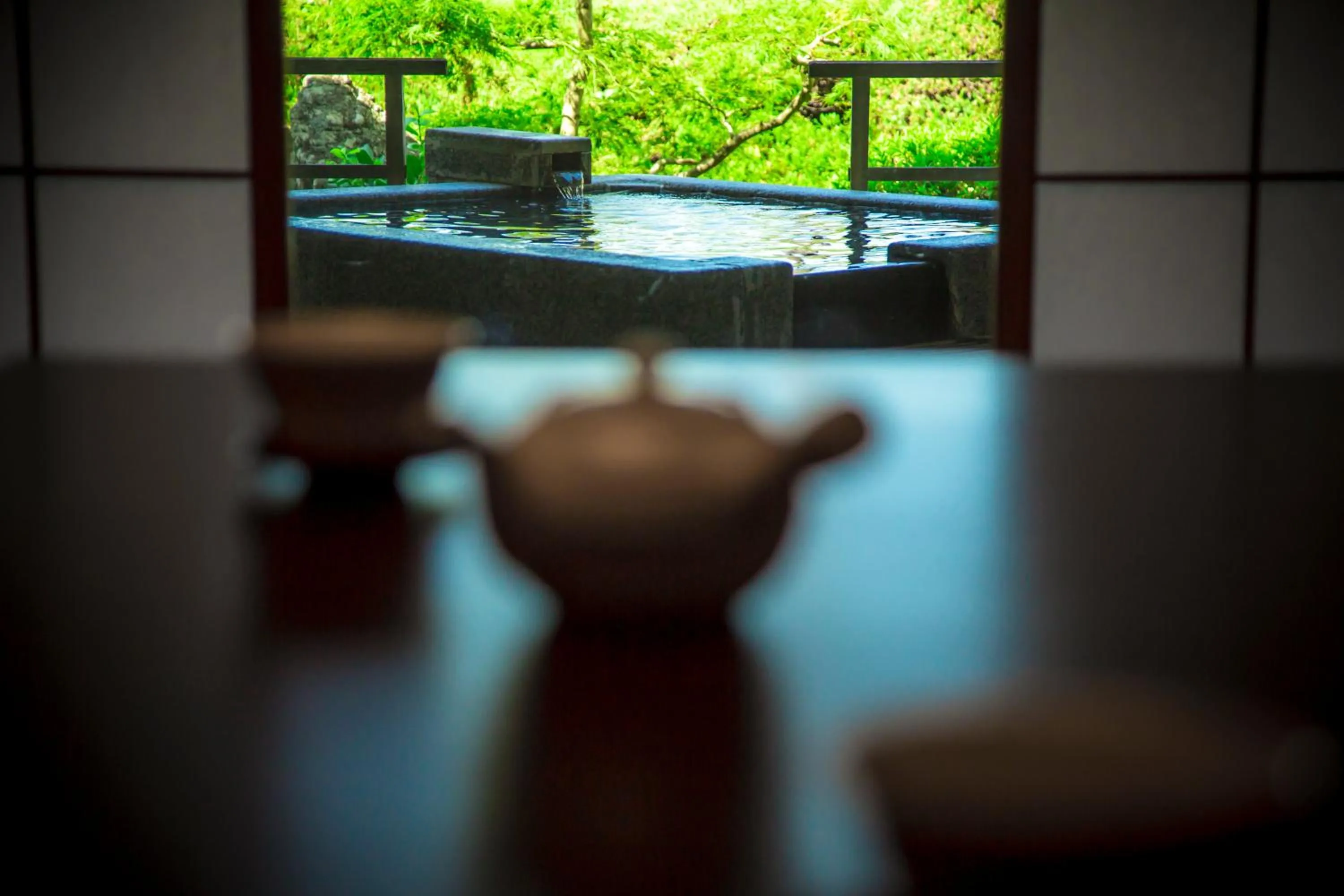 Hot Spring Bath in Hotel Kitanoya