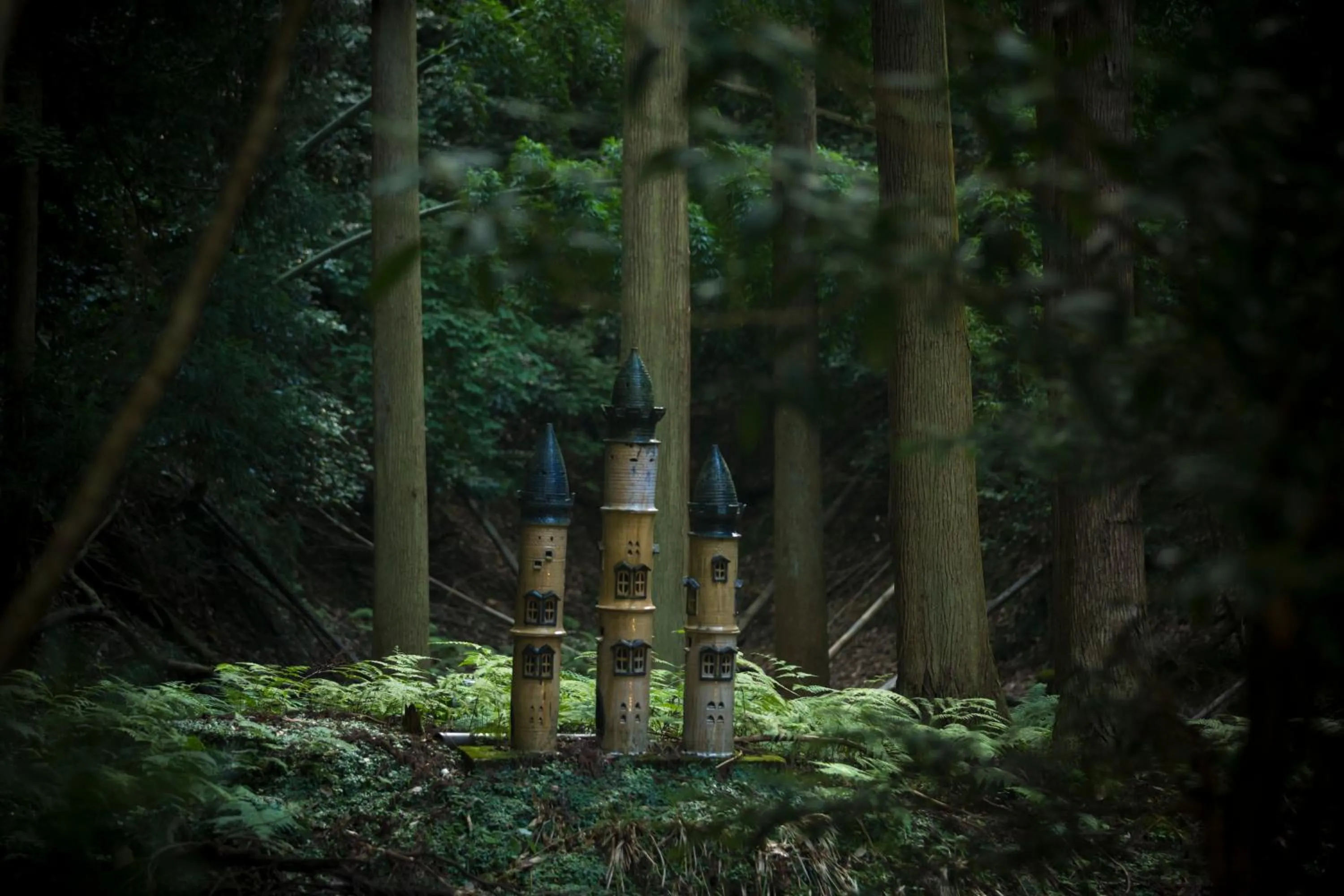 Public Bath in Hotel Kitanoya