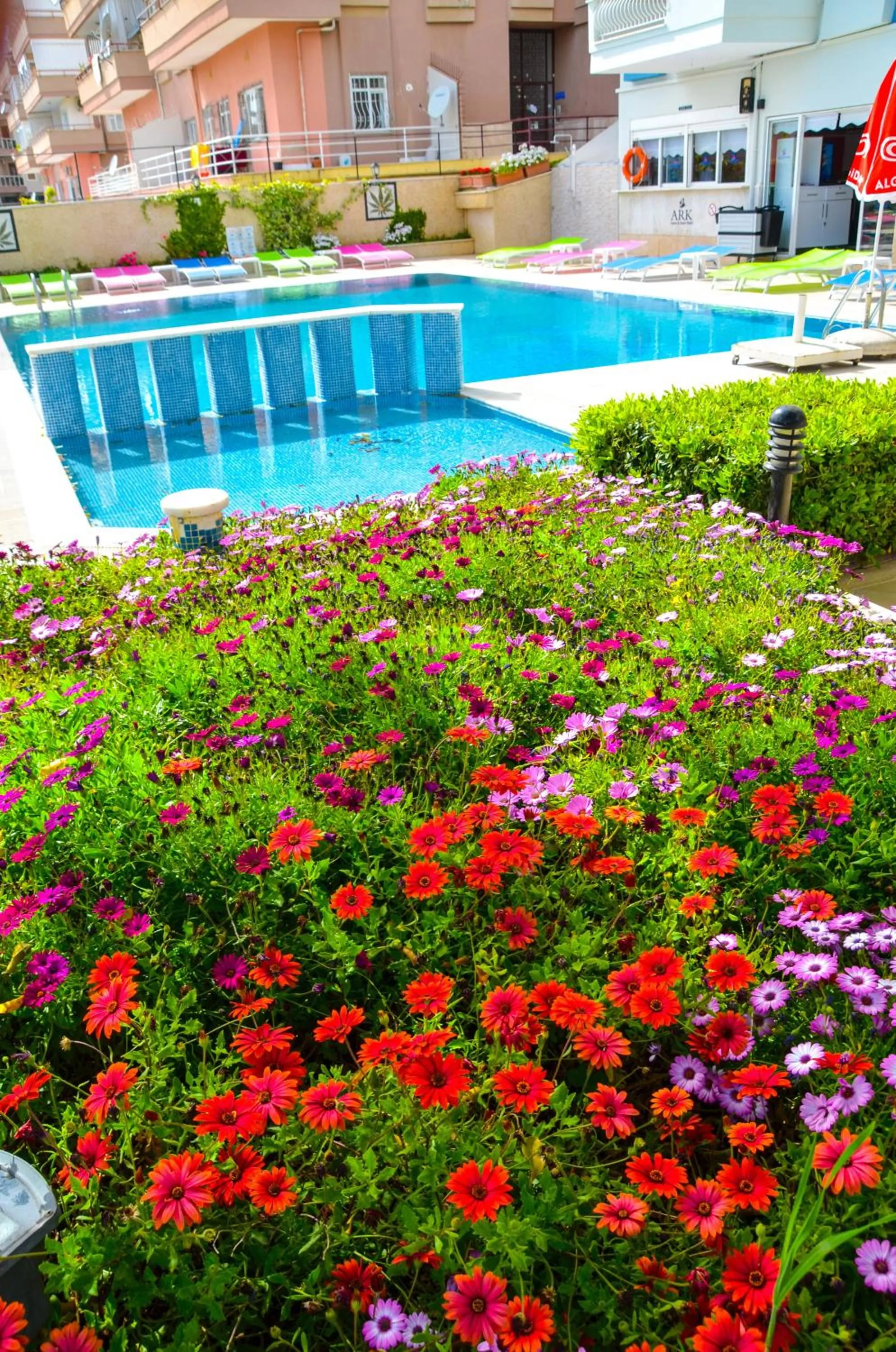 Garden in Ark Apart and Suite Hotel