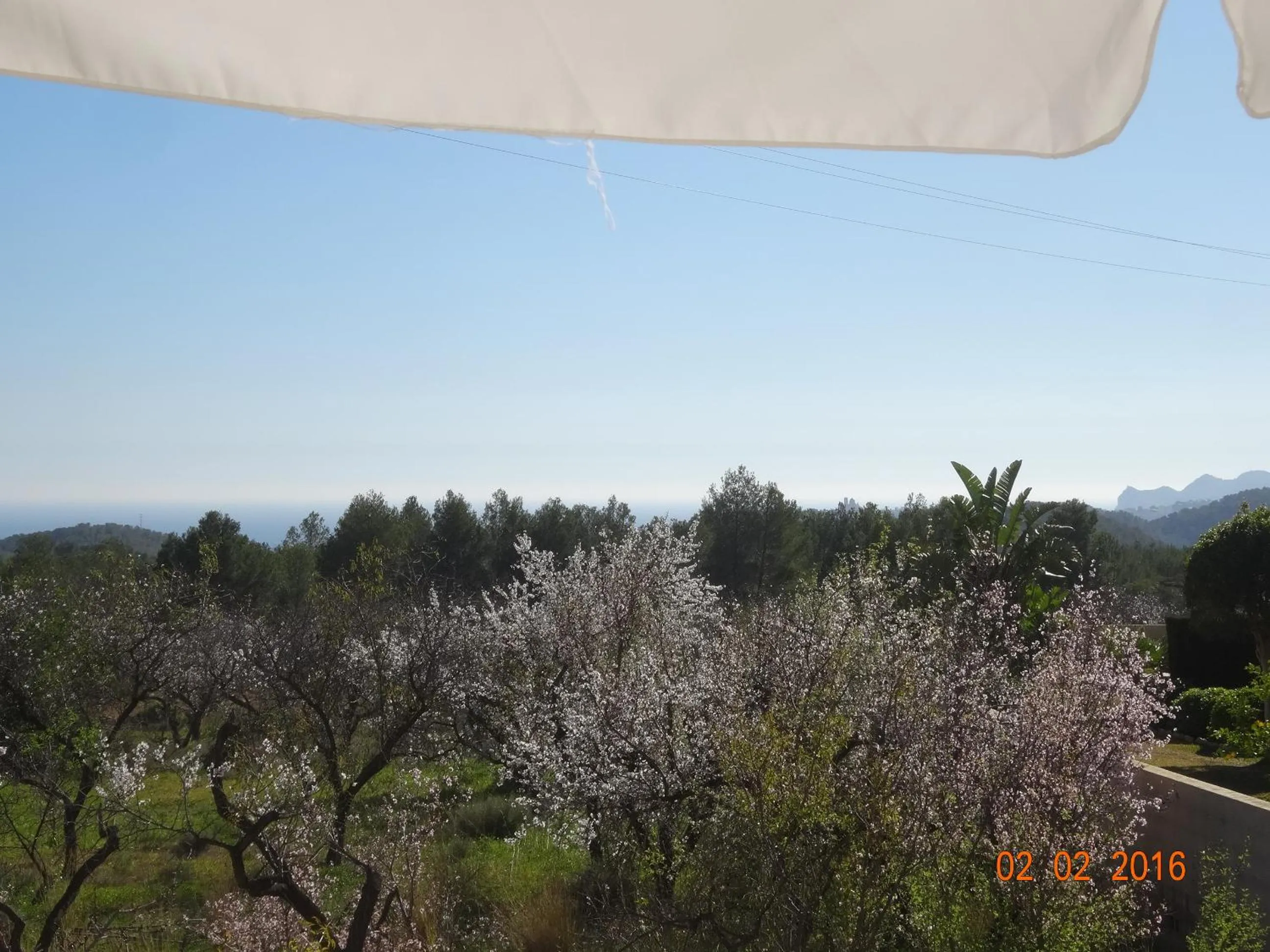 Garden view in Casa Blanca