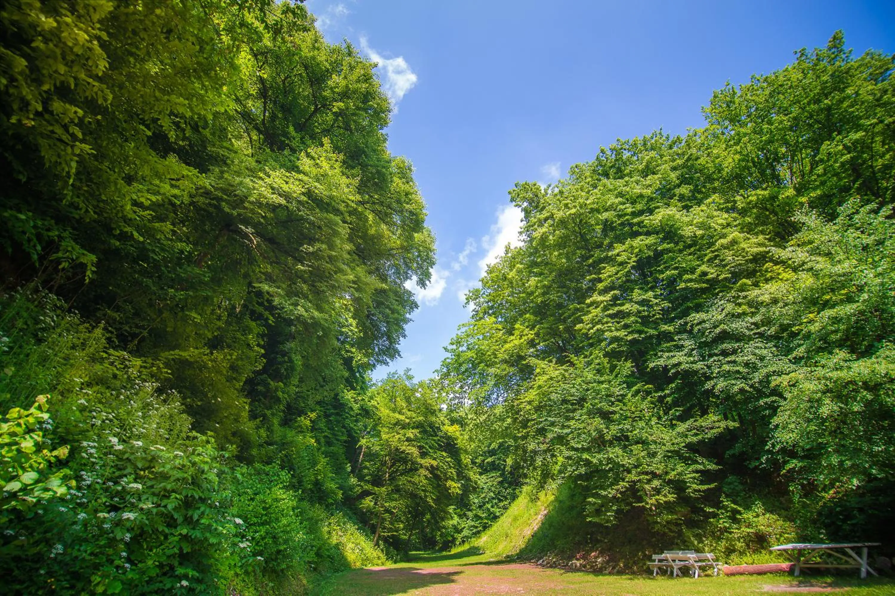 Activities in Berberys Park Hotel