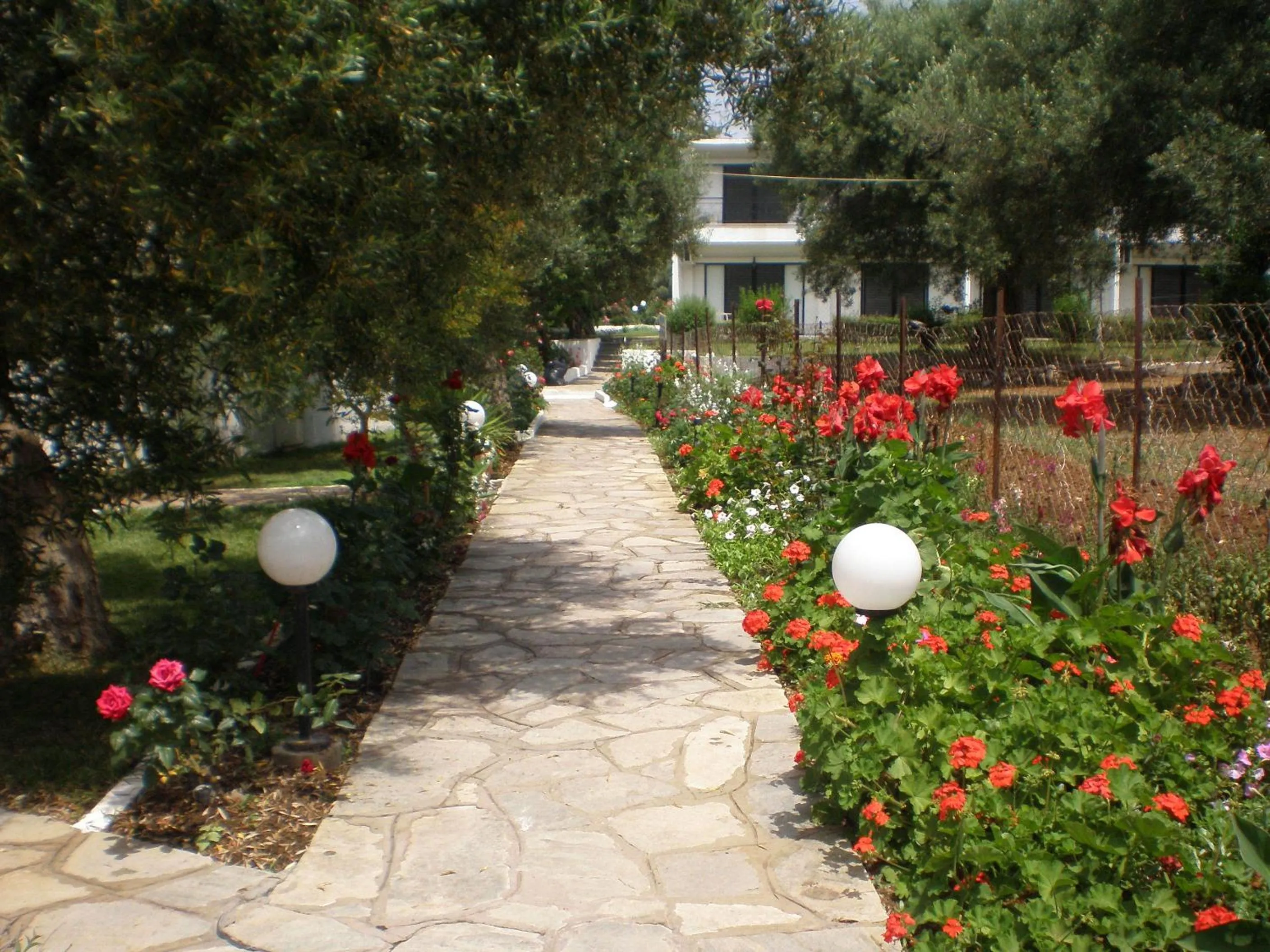 Garden in Porto Matina