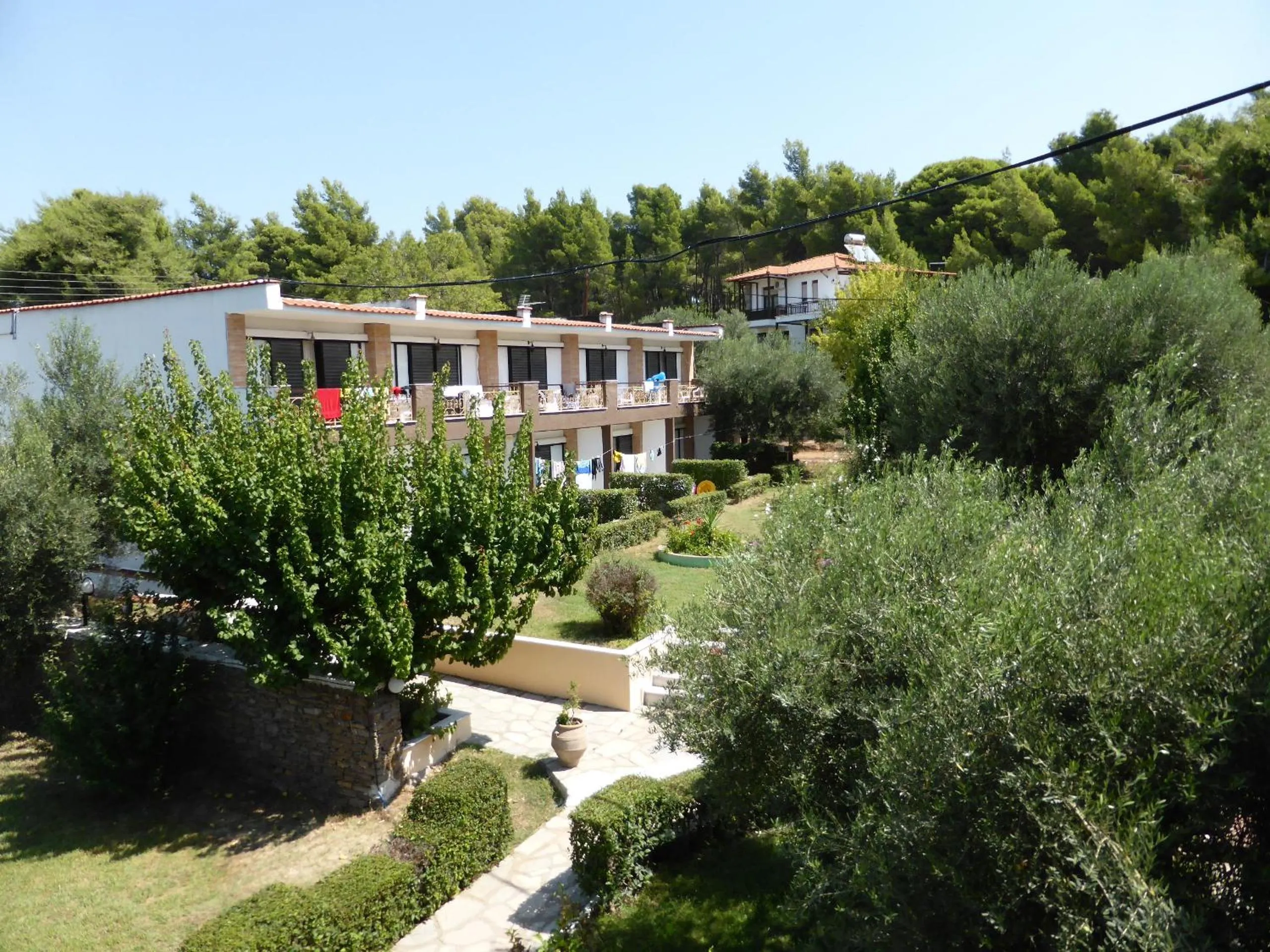 Garden in Porto Matina