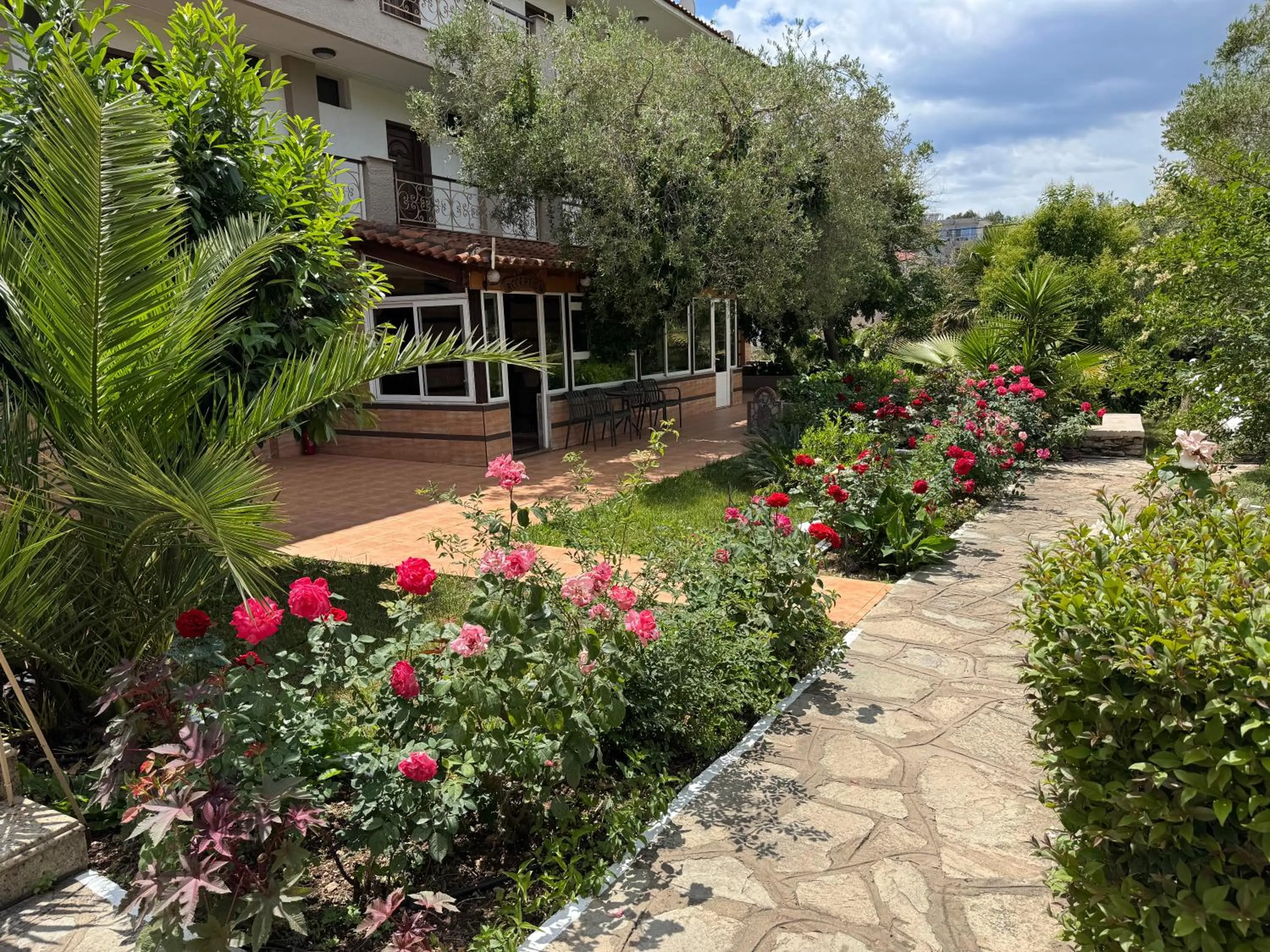 Garden in Porto Matina