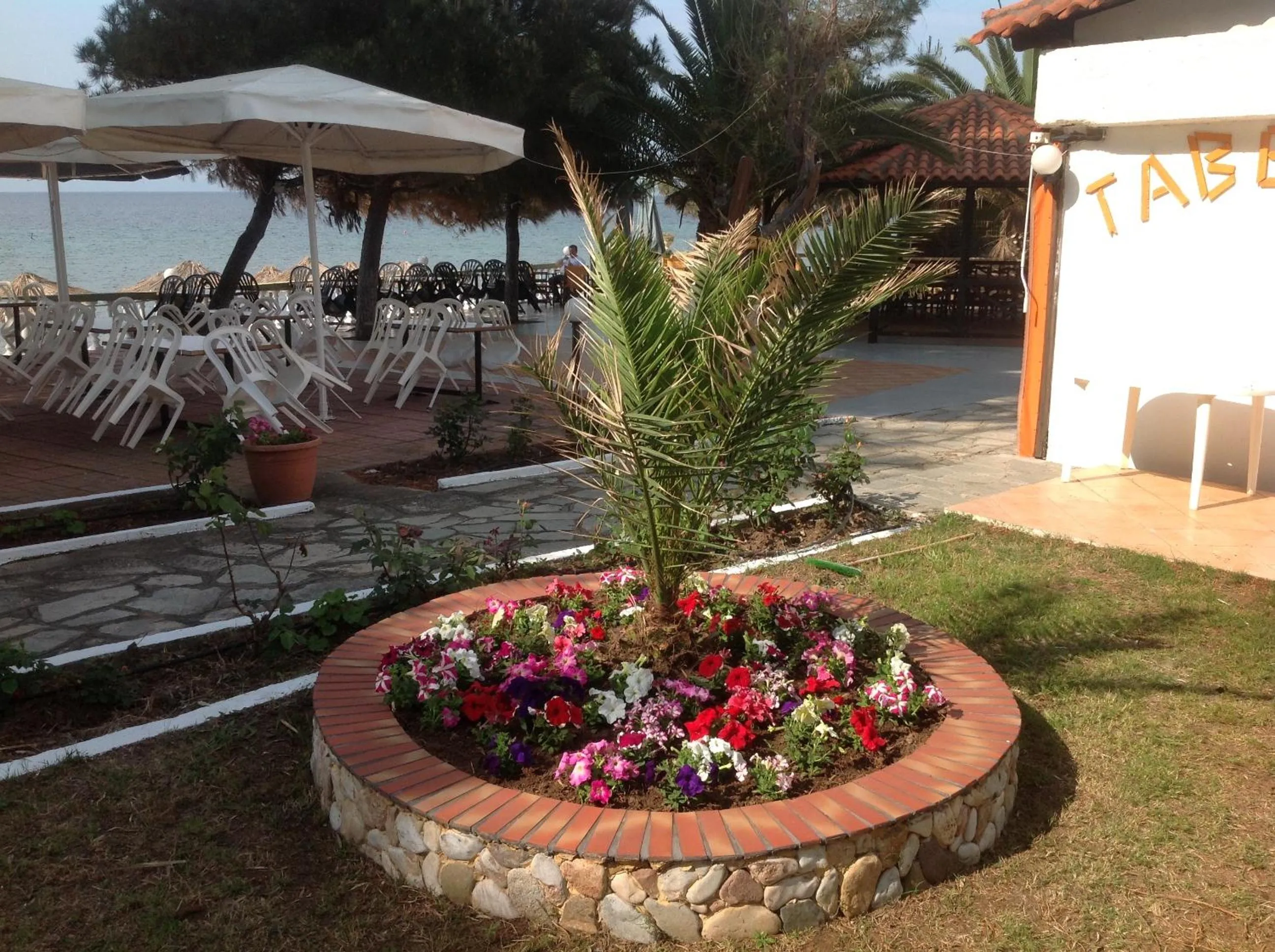 Garden in Porto Matina