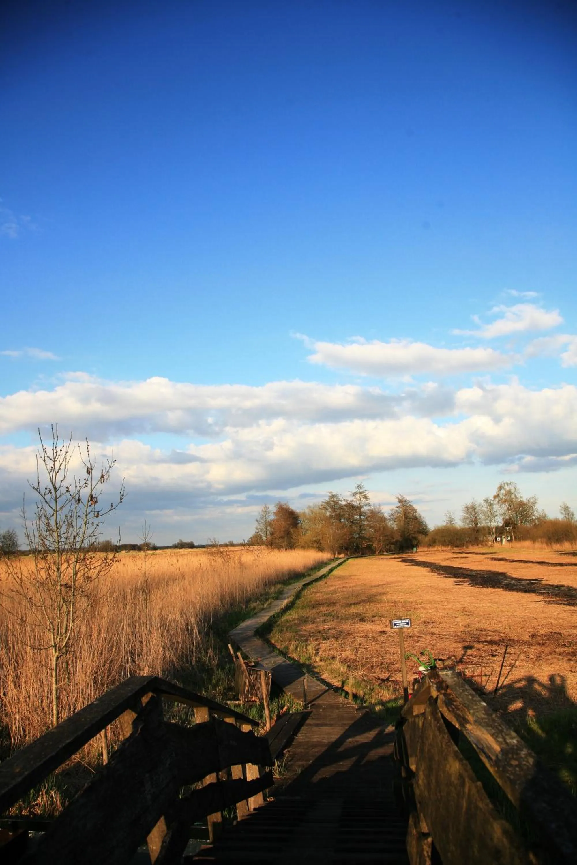 Area and facilities in De Kruumte
