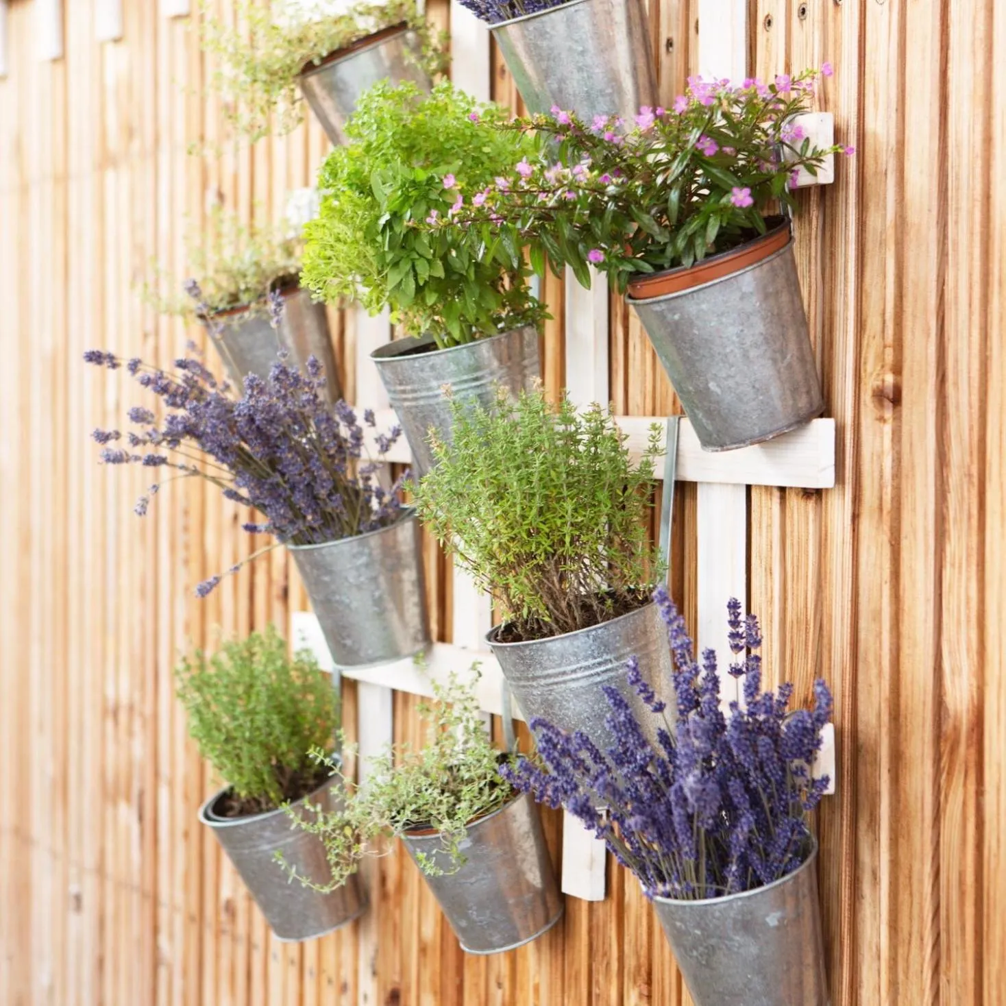 Patio in Hotel Linde