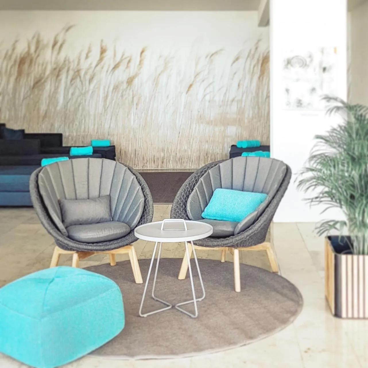 Patio in Hotel Linde