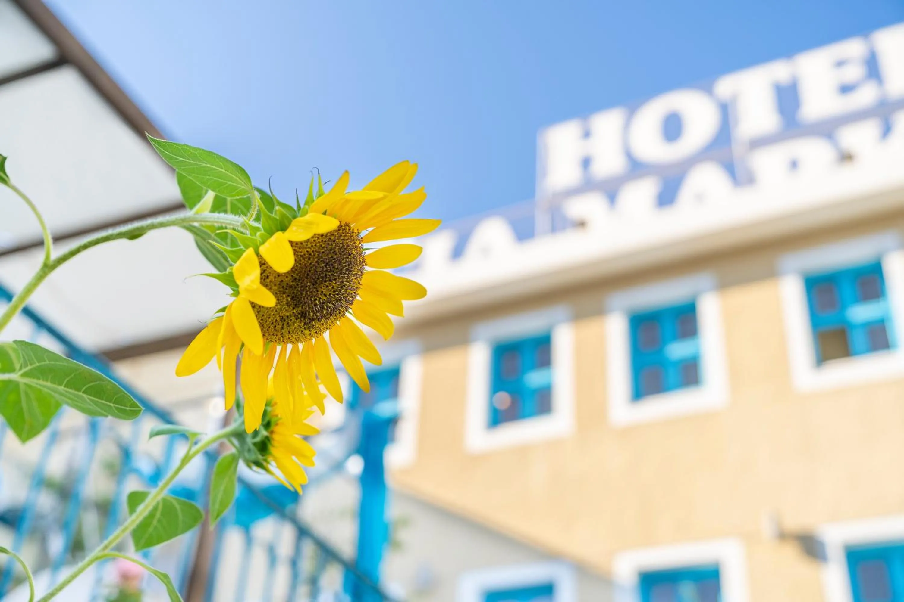 Decorative detail in Agia Markella