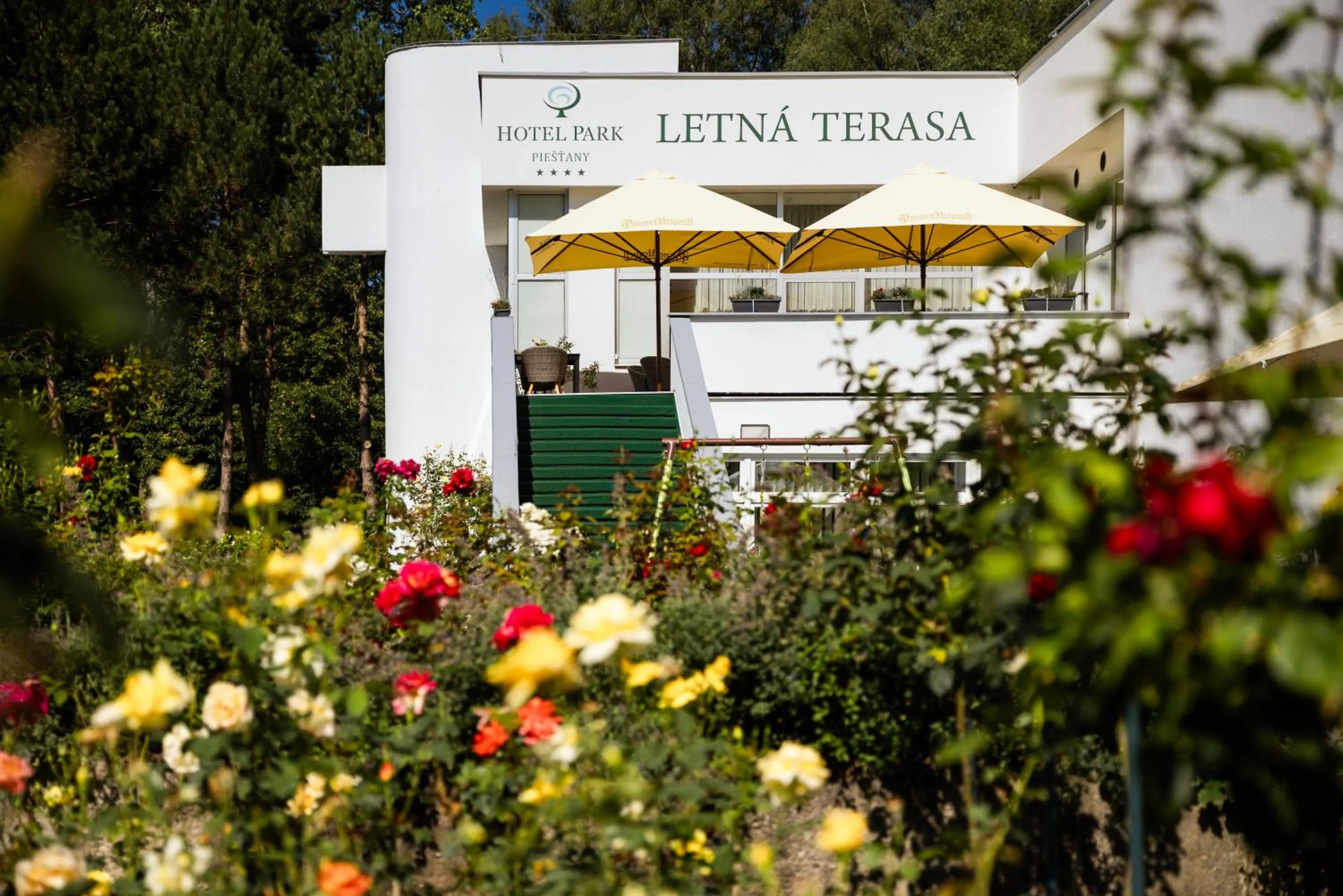 Off site in Hotel Park