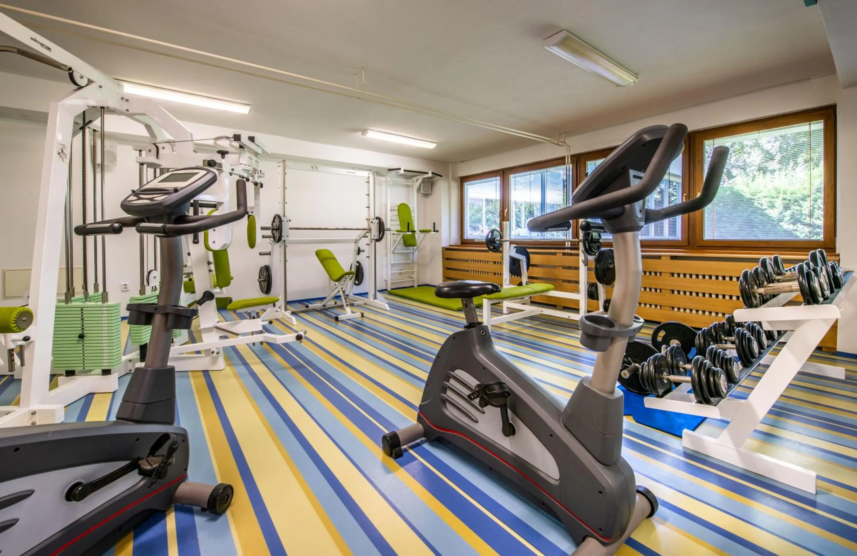 Fitness centre/facilities in Hotel Park