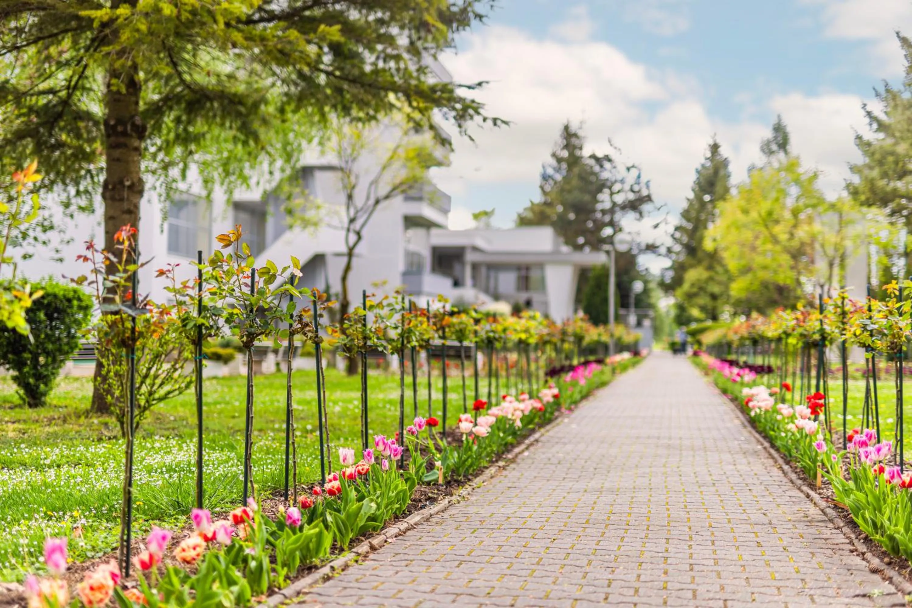 Property building in Hotel Park