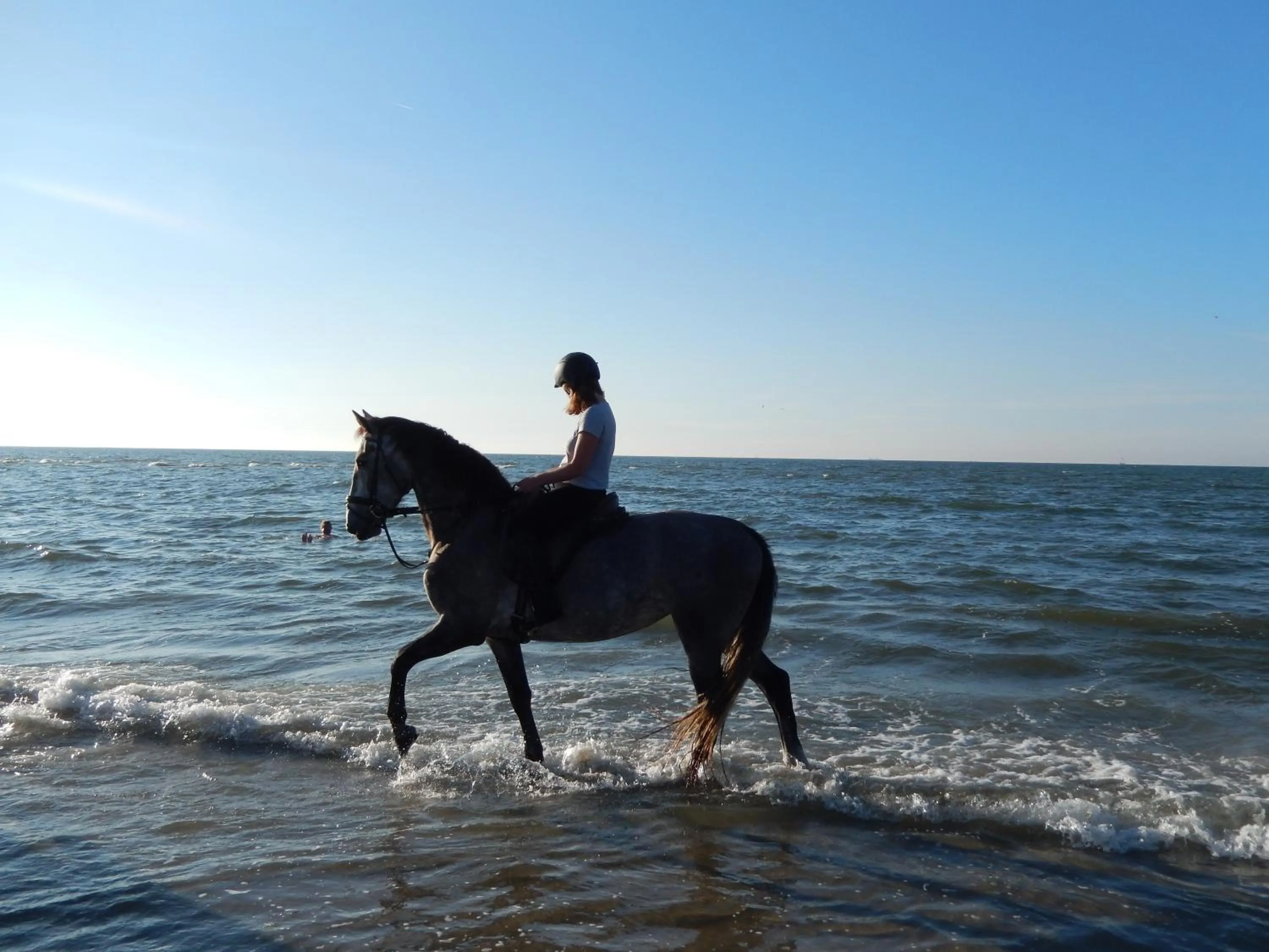 Horse-riding in De Cyprian Bed & Breakfast