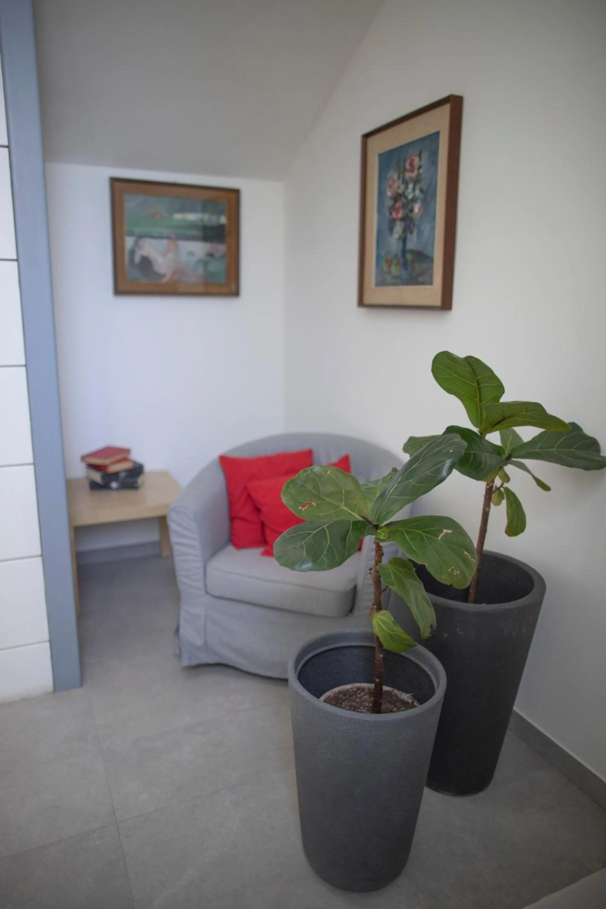 Area and facilities in Hotel Ligure