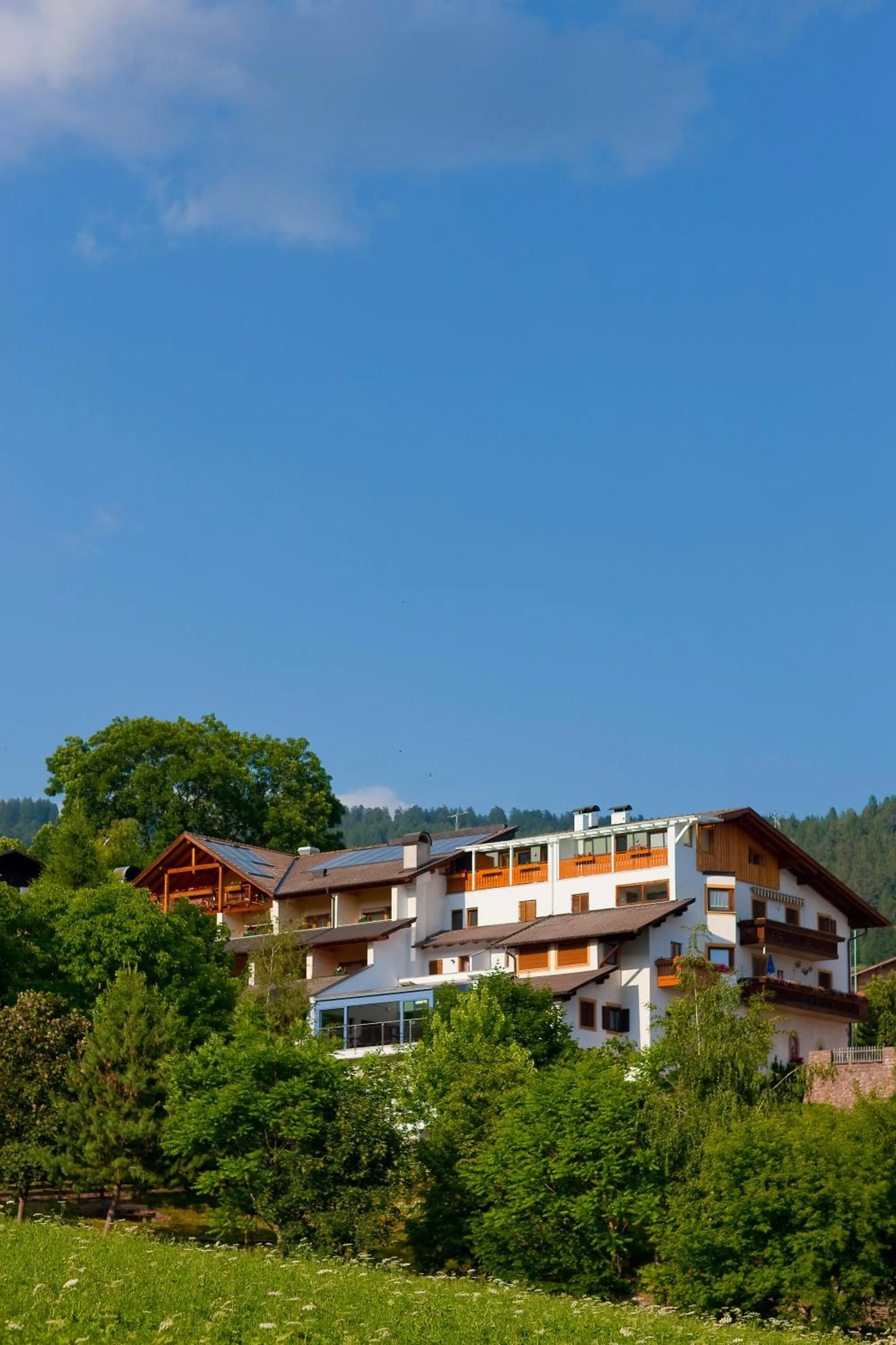 Facade/entrance in Hotel Zum Löwen - Al Leone