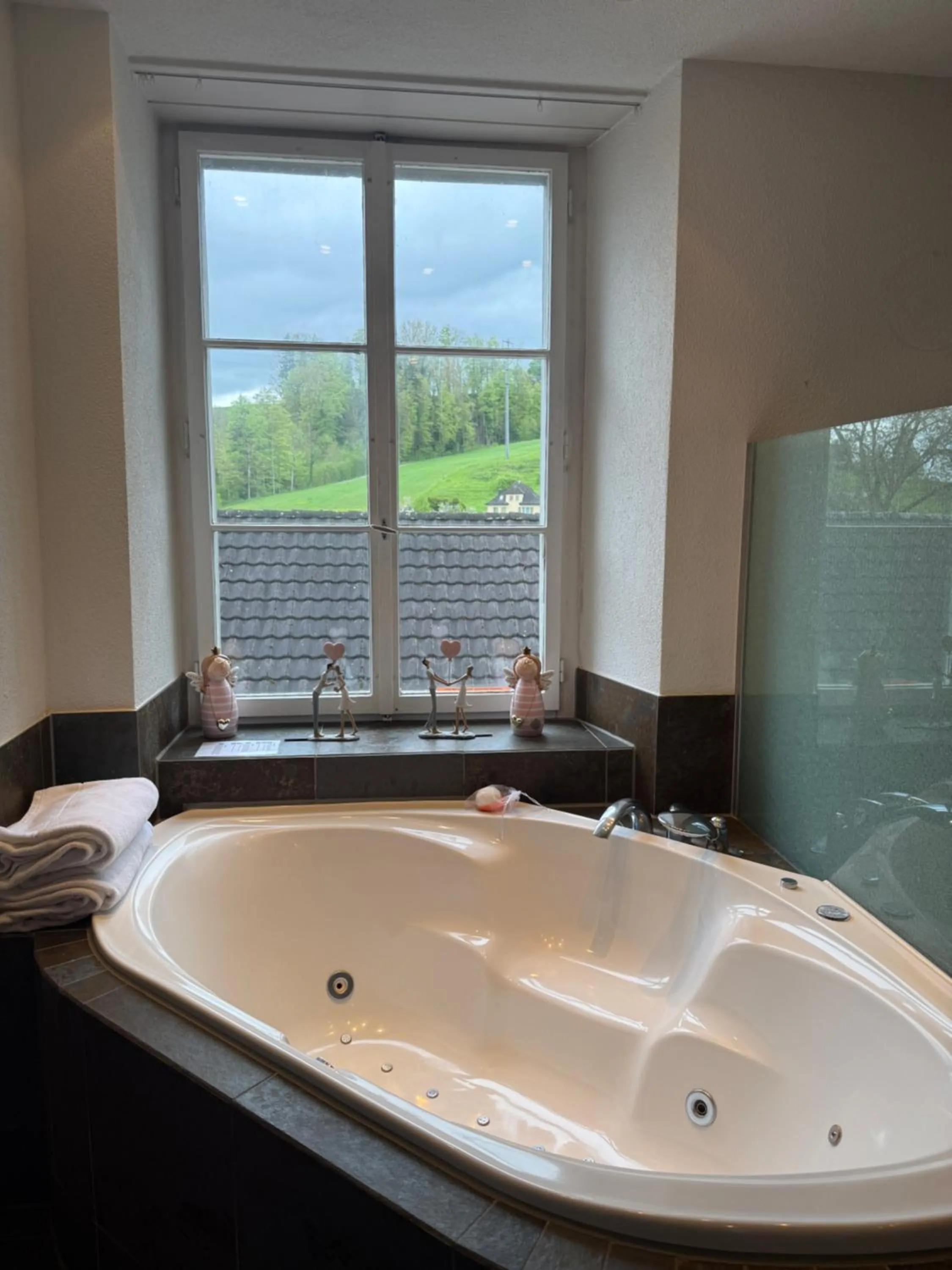 Hotel Krone Sihlbrugg