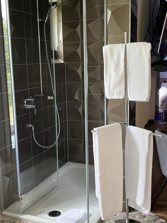 Hotel Krone Sihlbrugg