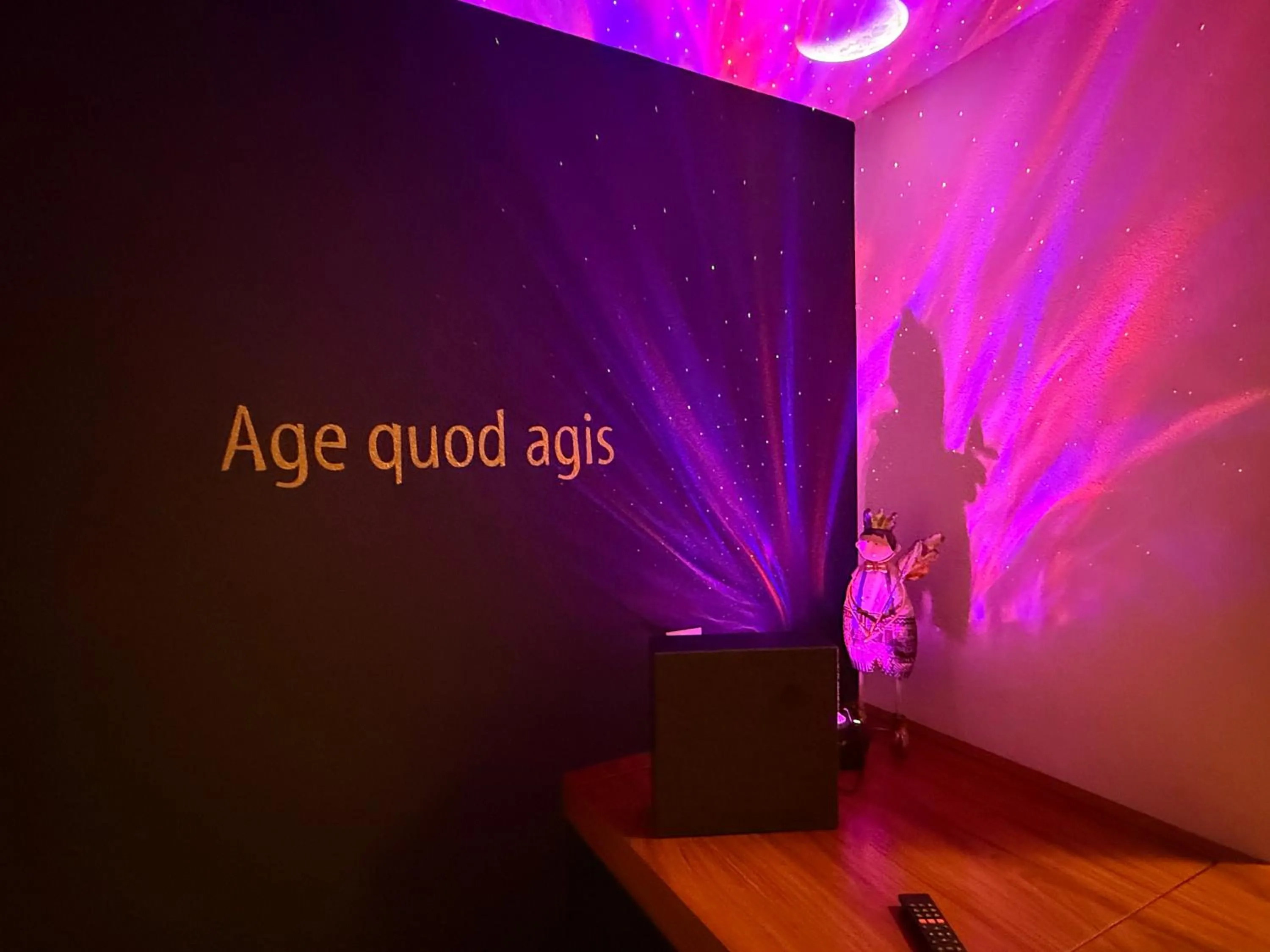 Hotel Krone Sihlbrugg