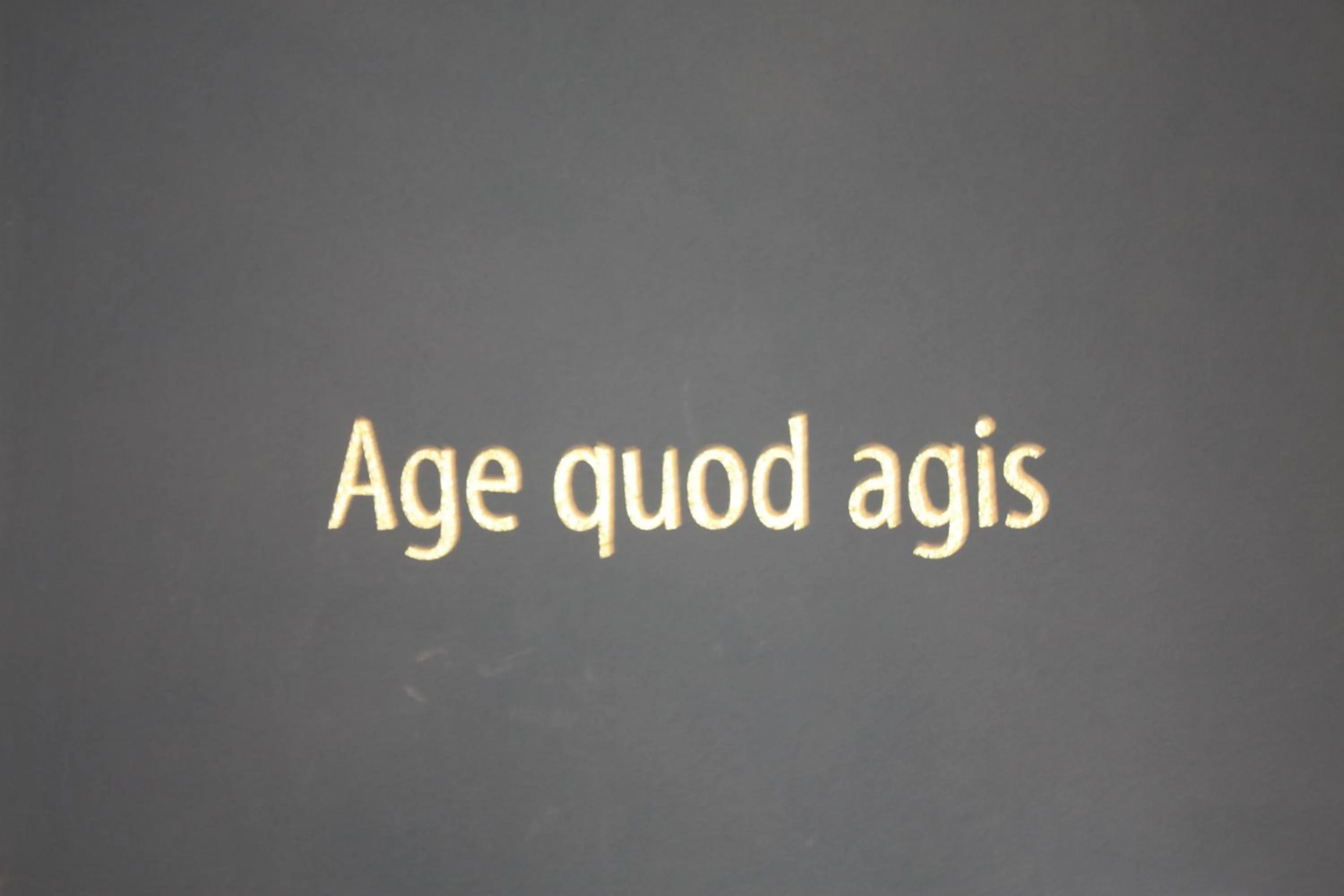 Decorative detail in Hotel Krone Sihlbrugg