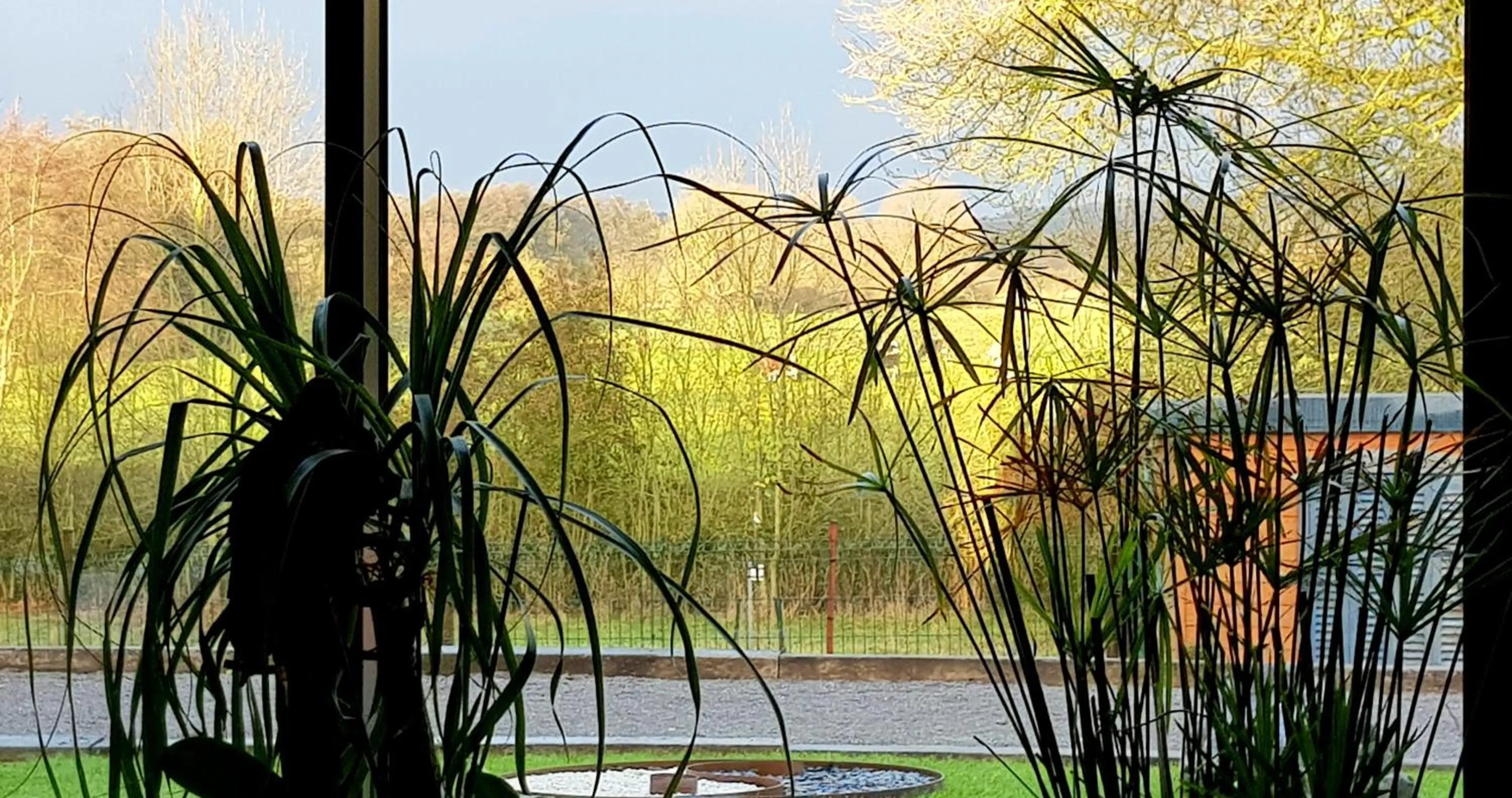 Natural landscape in Il etait une ferme