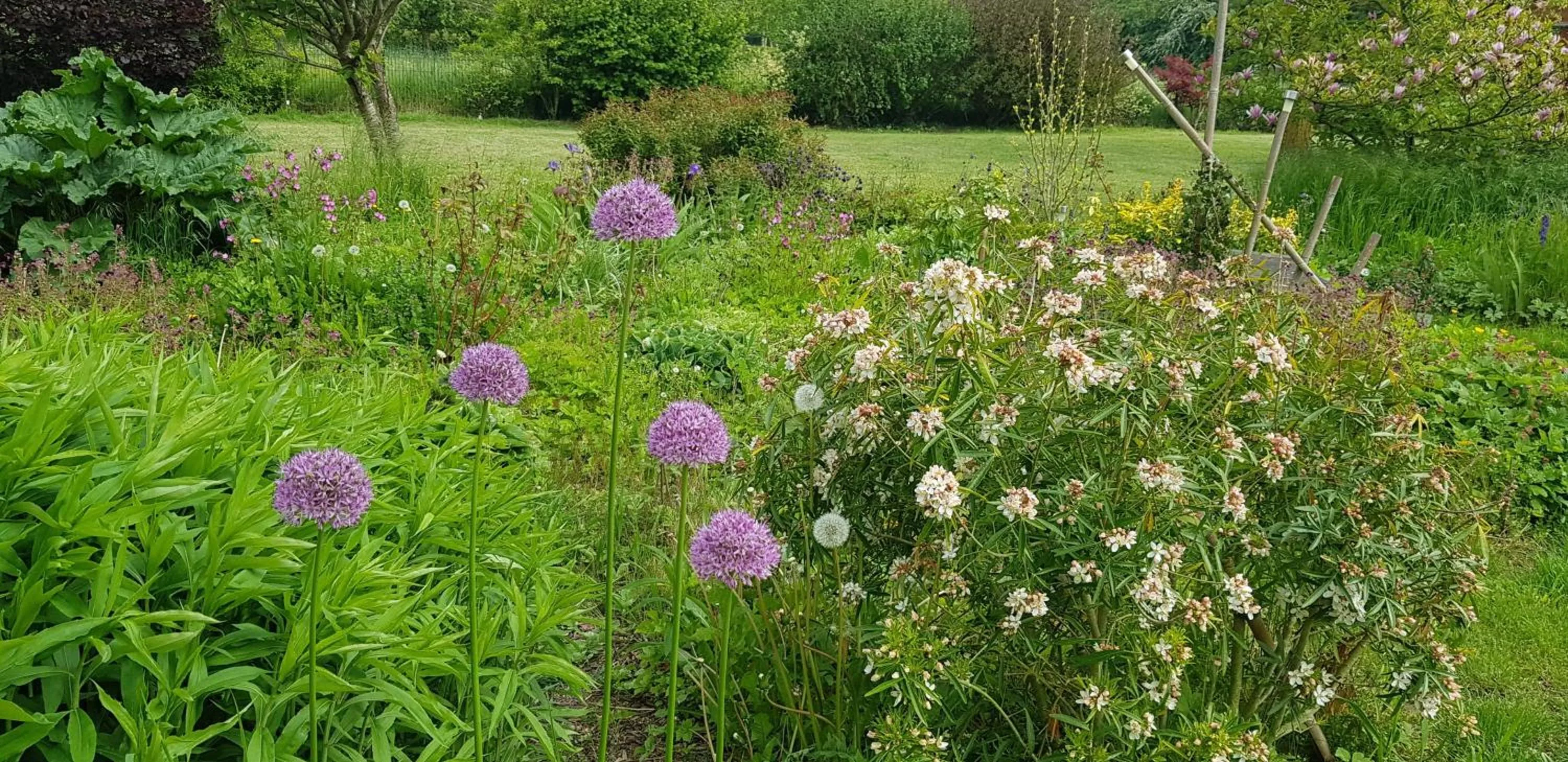 Garden view in Il etait une ferme
