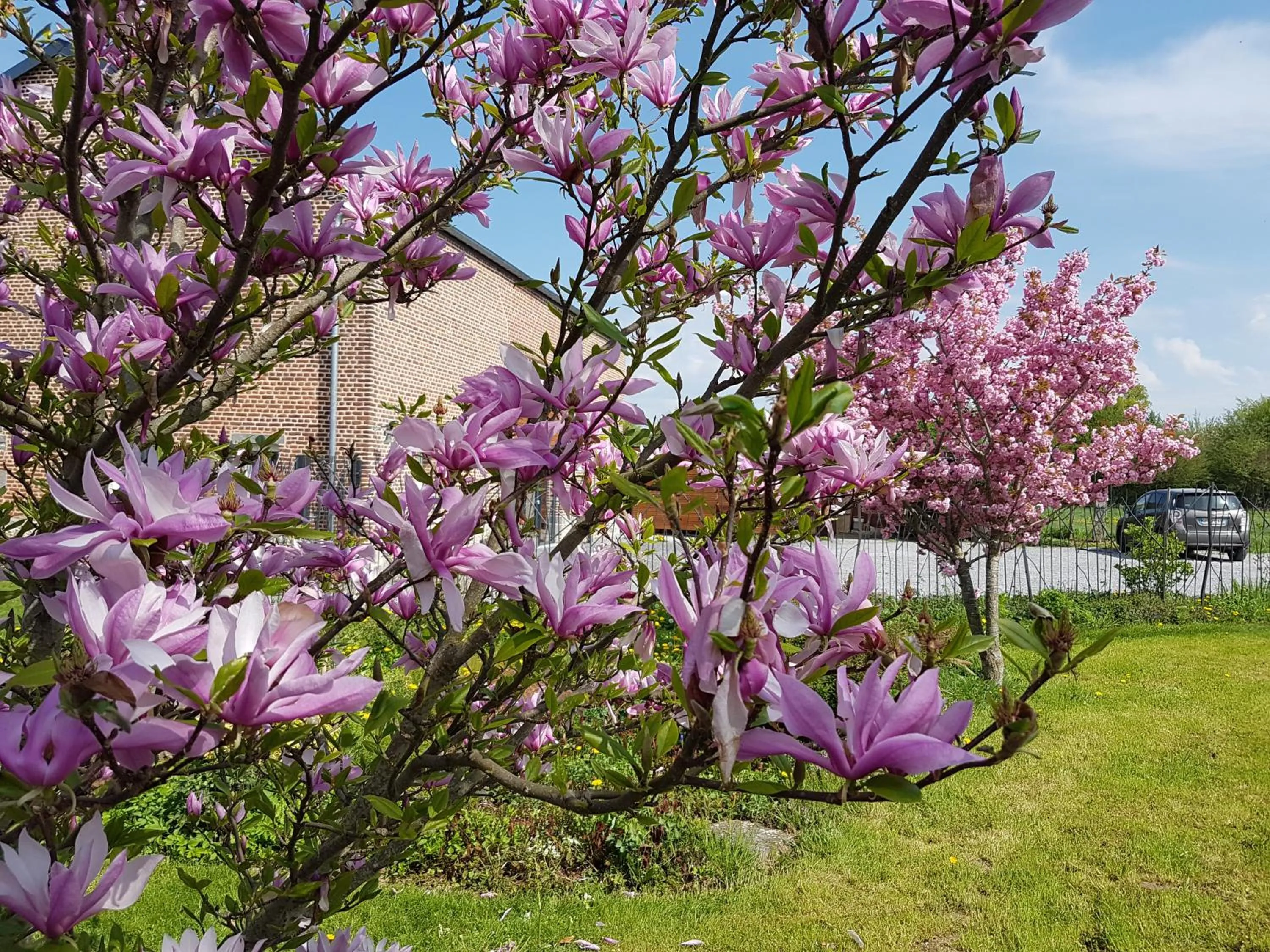 Garden view in Il etait une ferme