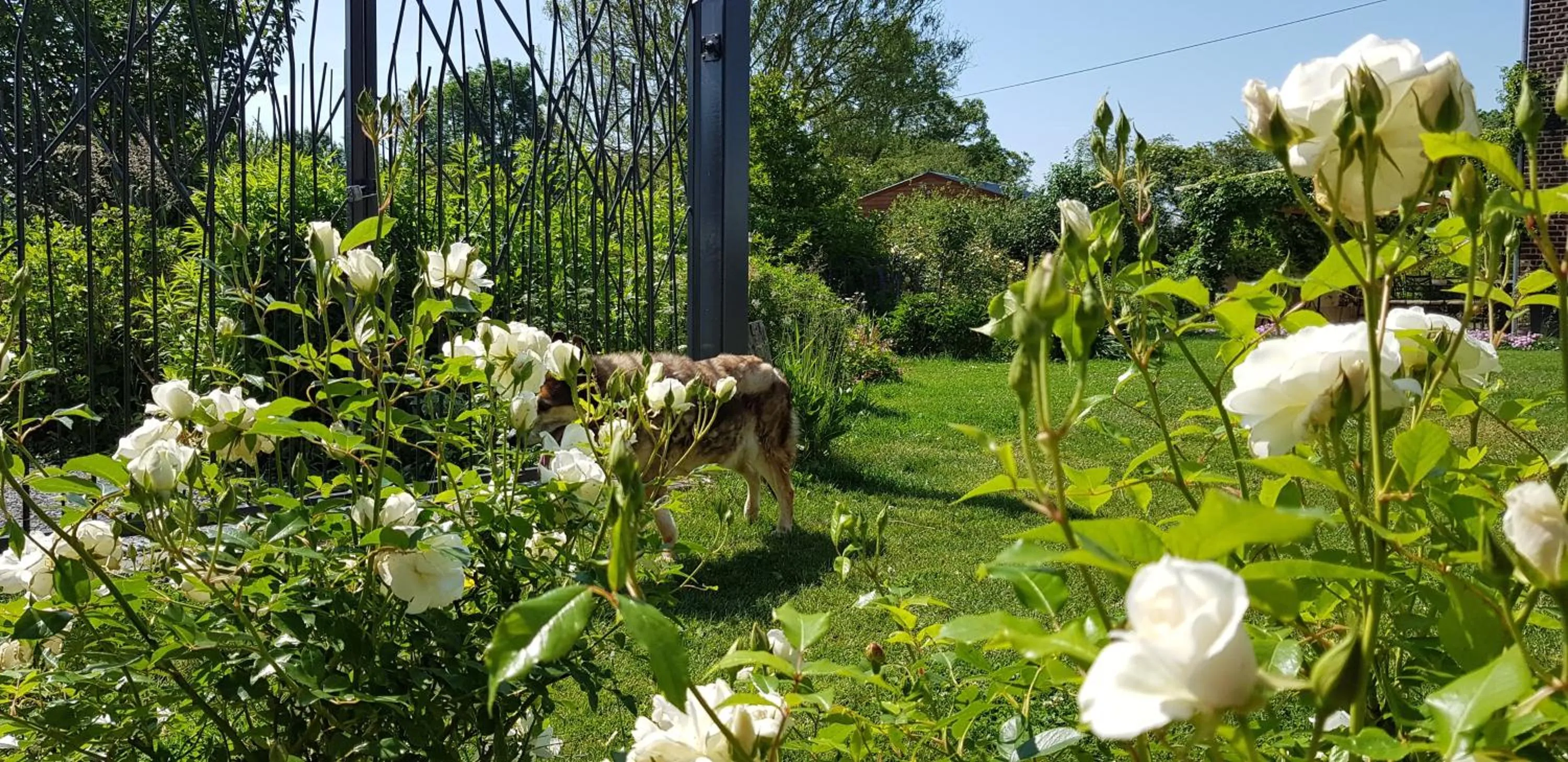 Garden view in Il etait une ferme