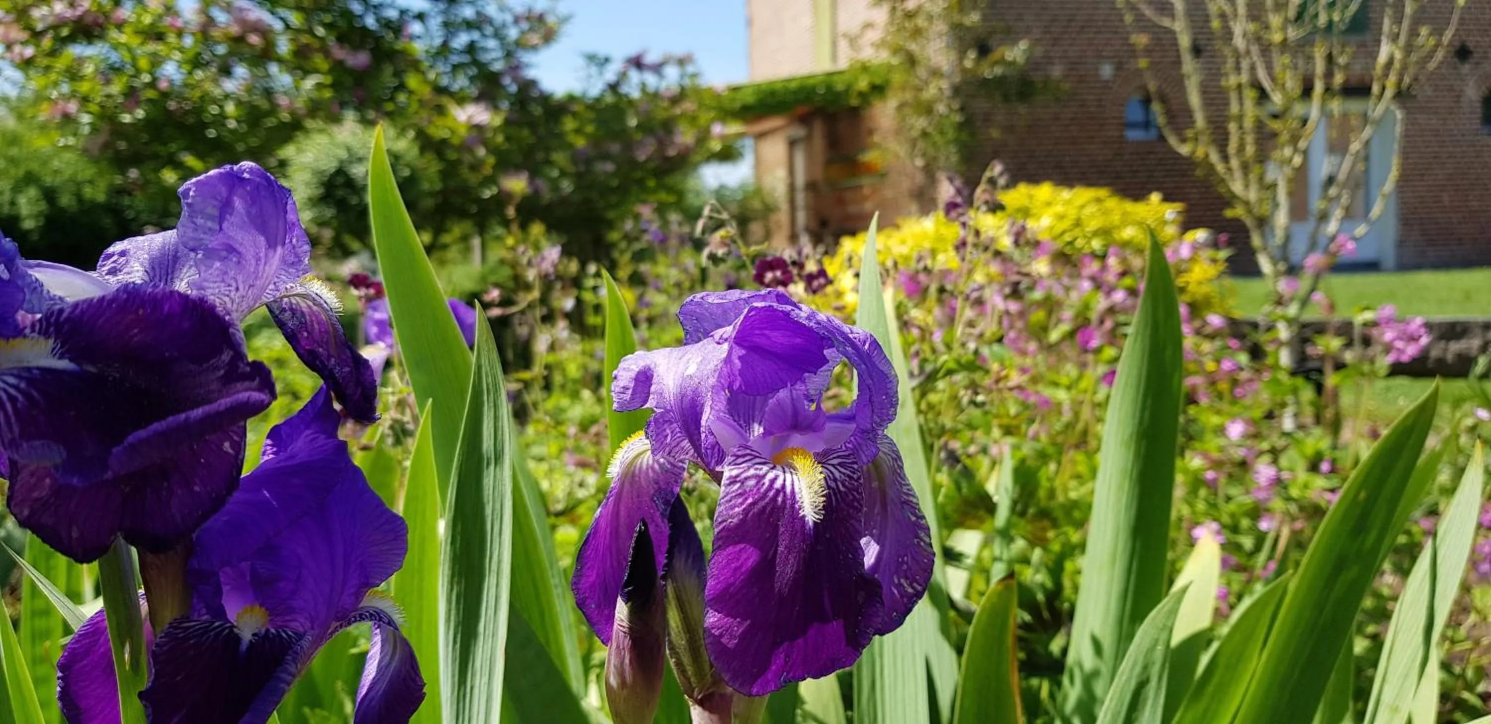 Garden view in Il etait une ferme