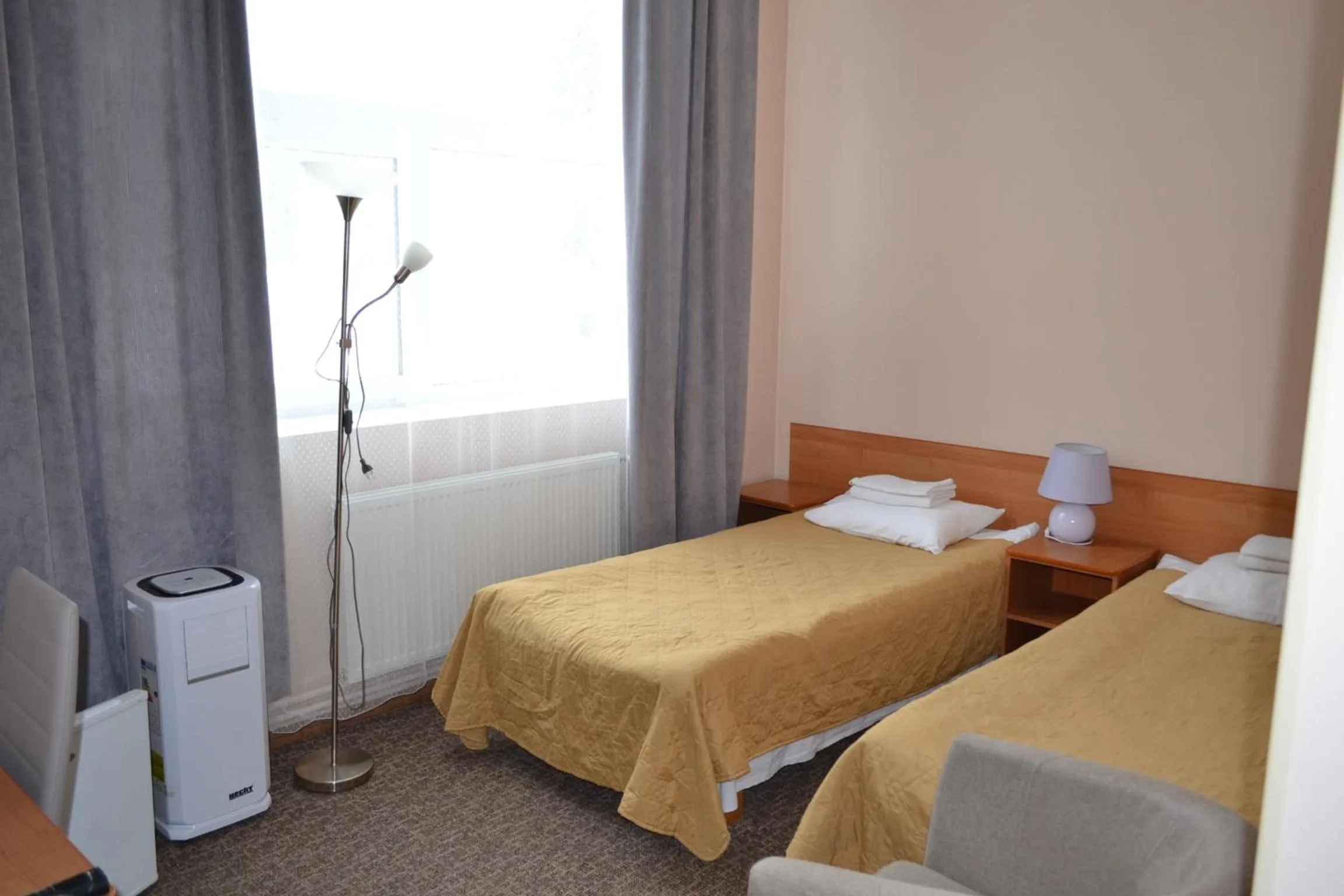 Single Room in Hotel Yes