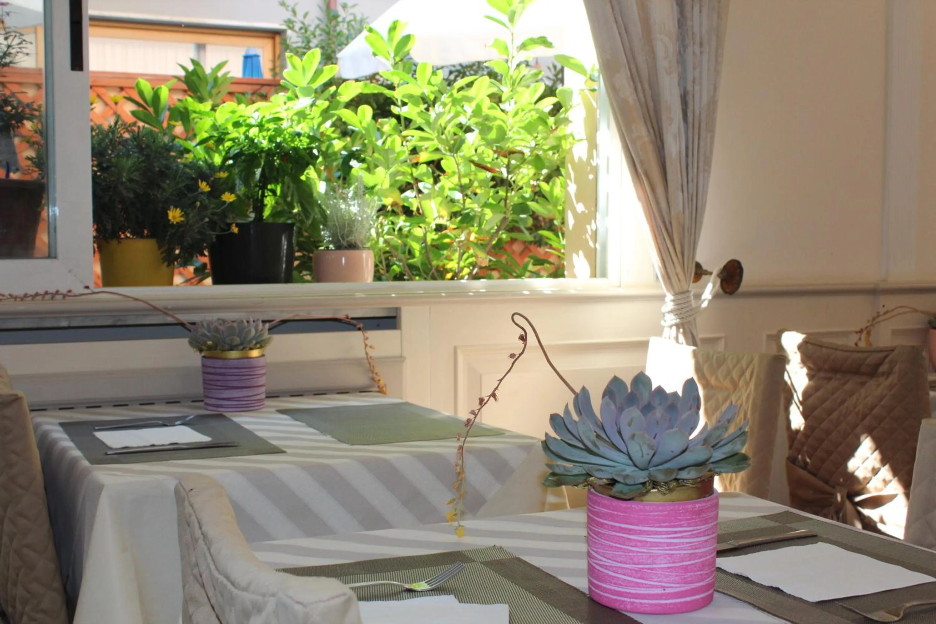Dining area in Hotel Tahiti