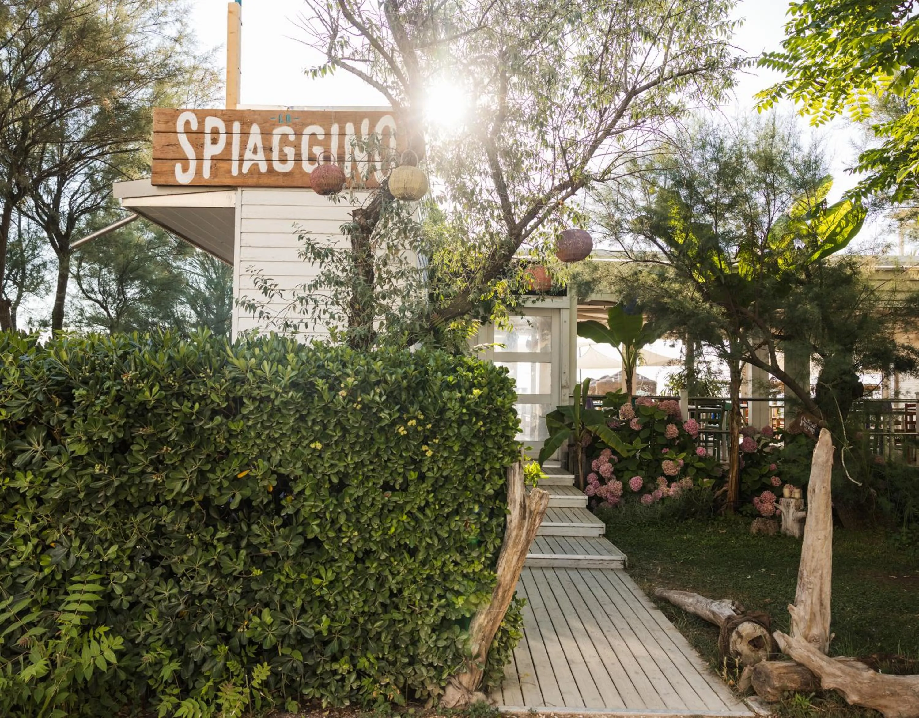 Day in Hotel Constellation