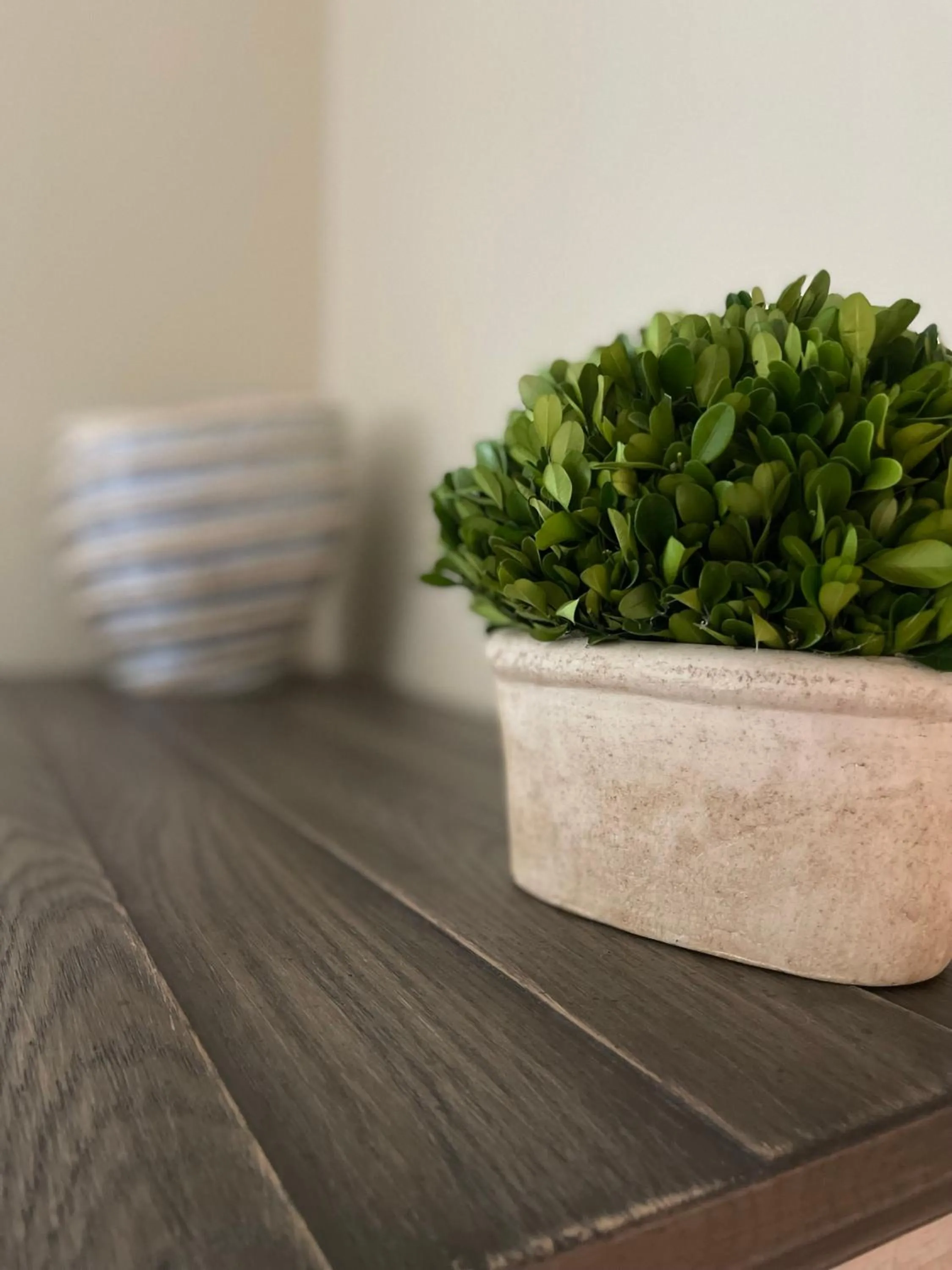 Magnolia Creek Lodge