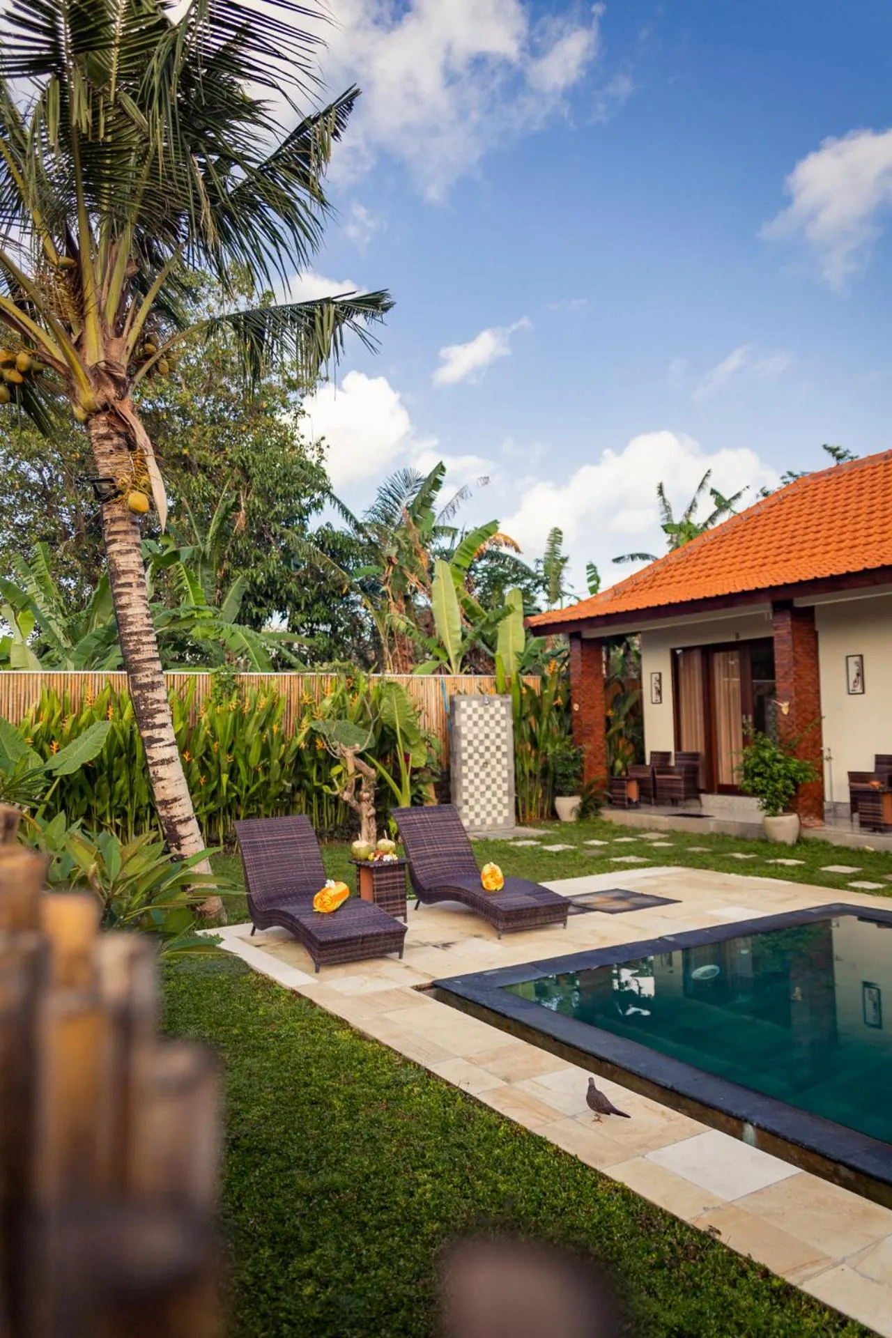 Garden in Umah Nugraha