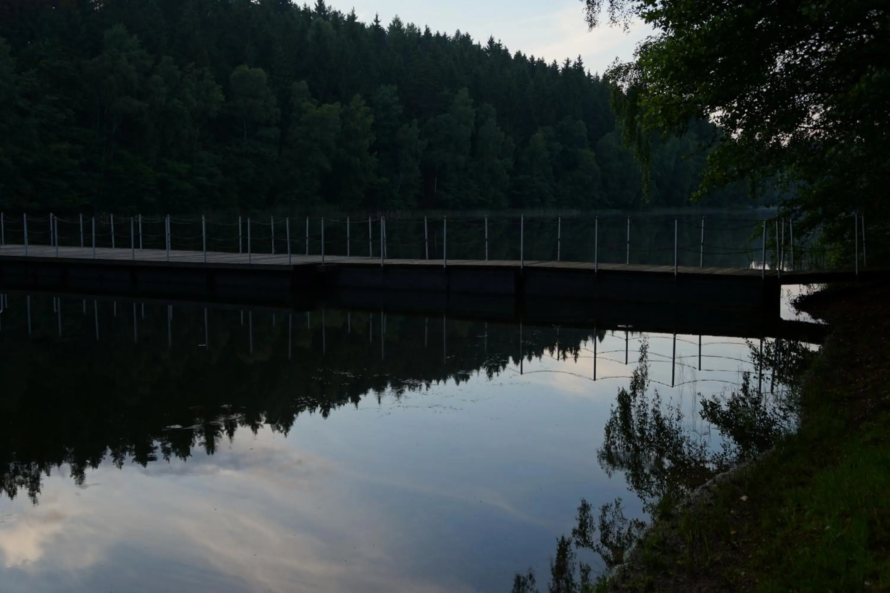 Activities in Willa Alkor