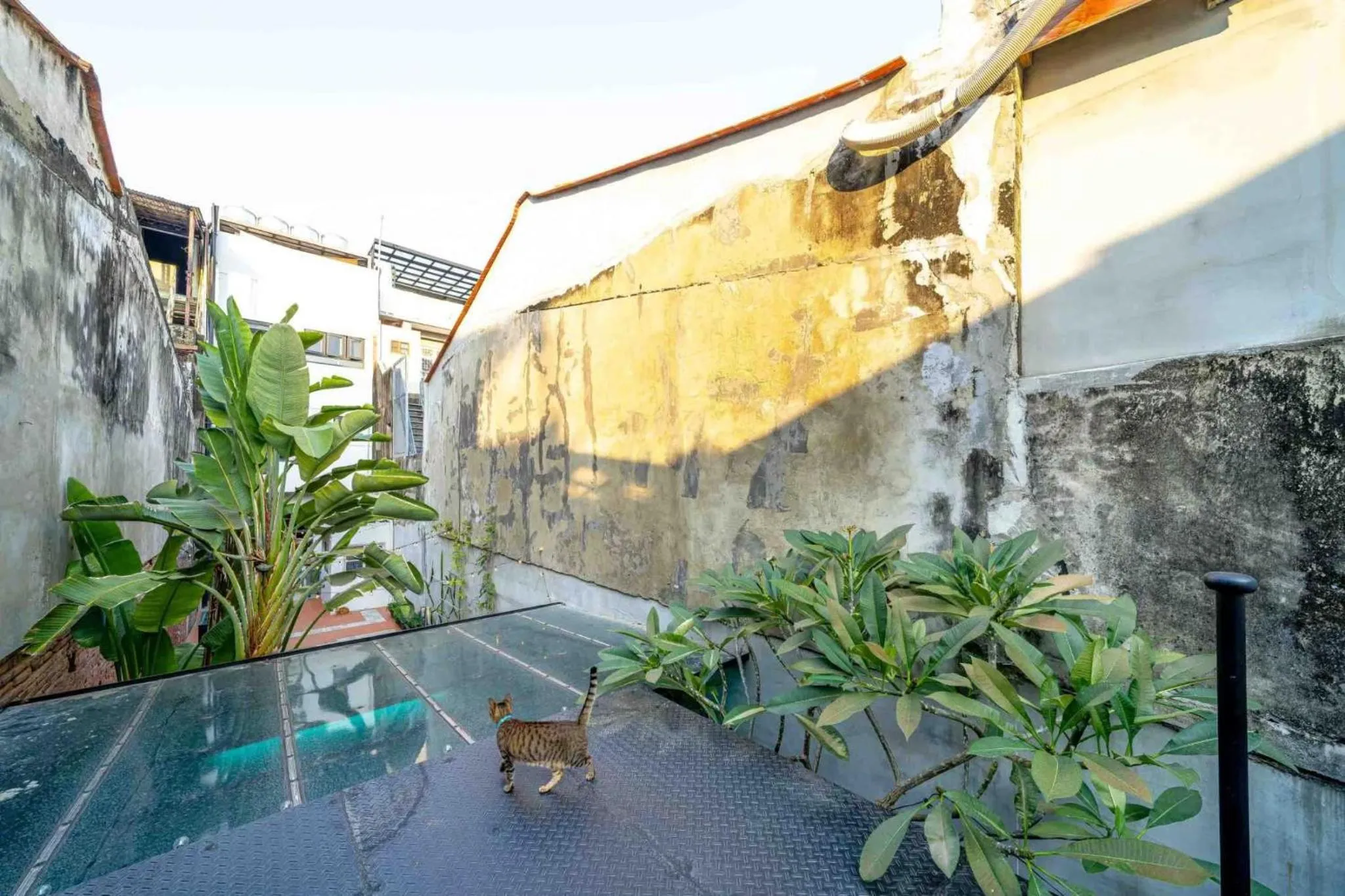 Property building in 樂客背包旅棧 Local Backpacker Hostel